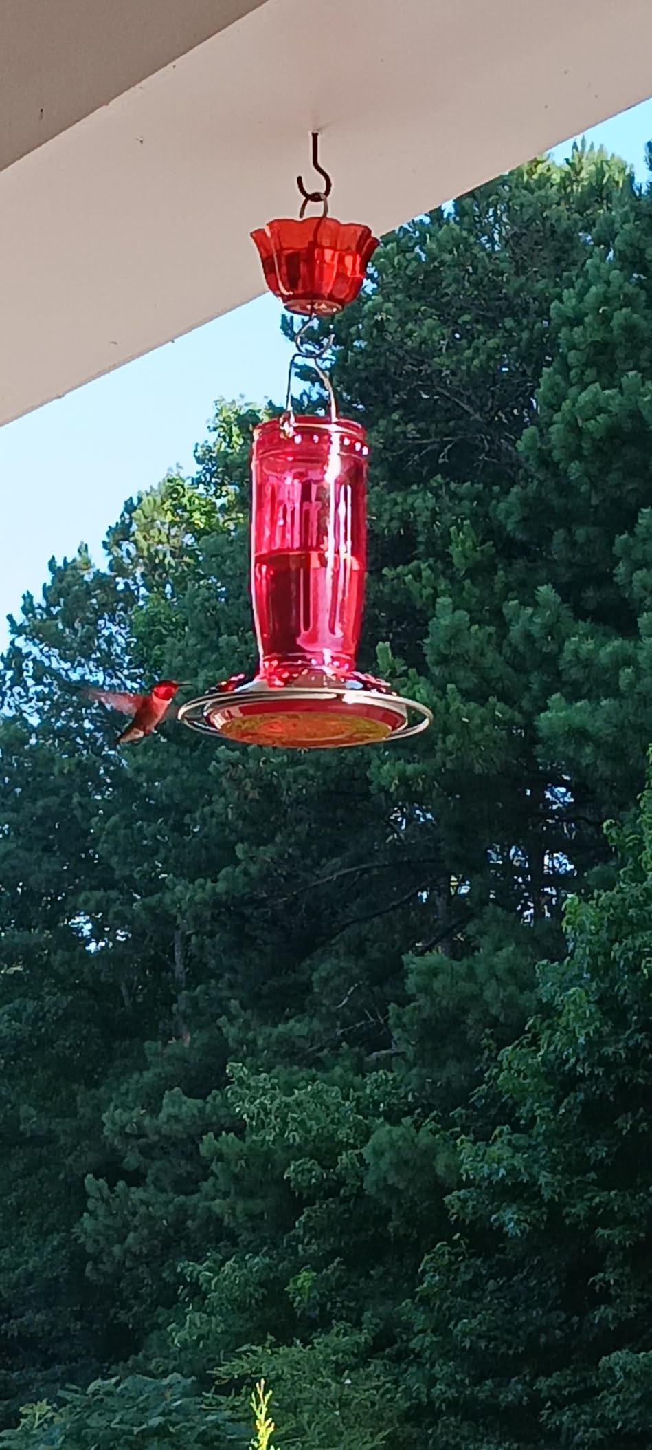 Kingsyard Glass Hummingbird Feeder for Outdoors Wild Bird Feeder with 6 Feeding Ports Hanging for Garden Yard, Red (Ant Moat Included) customer photo 2