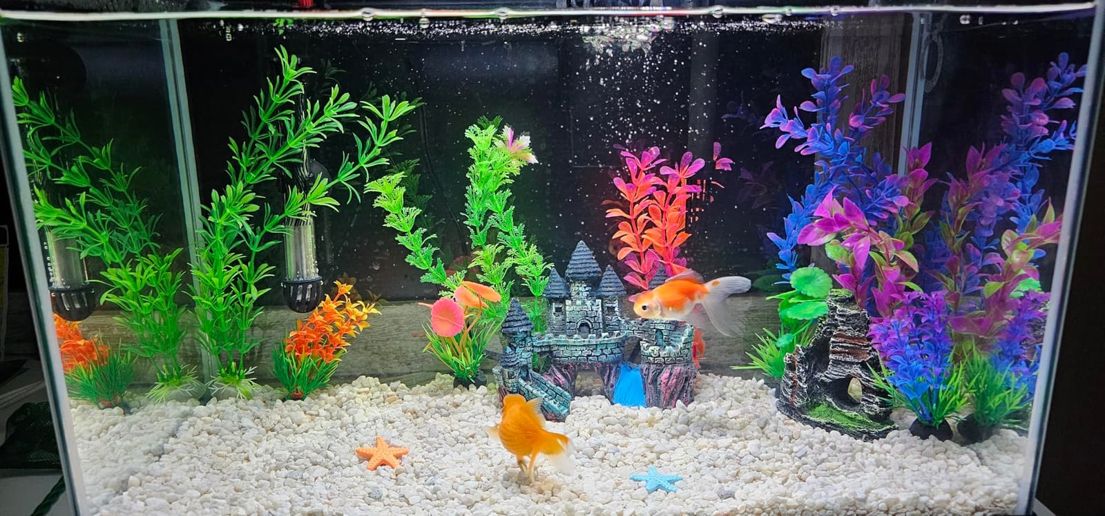 Mechpia 13 Pieces Aquarium Decorations Kit, Fish Tank Decorations Set Small Resin Castle and Rockery Betta Fish Cave Hideout Coral Artificial Plastic Plants Ornament Accessories customer photo 2