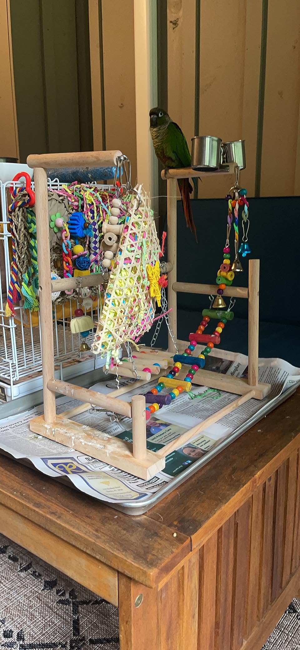 kathson Parrot Playstand Bird Playground Conures Play Stand Wood Perch Gym Playpen Ladder Parakeets Cage Accessories Exercise Toys with Swings Feeder Cups for Cockatoos Lovebirds customer photo 1