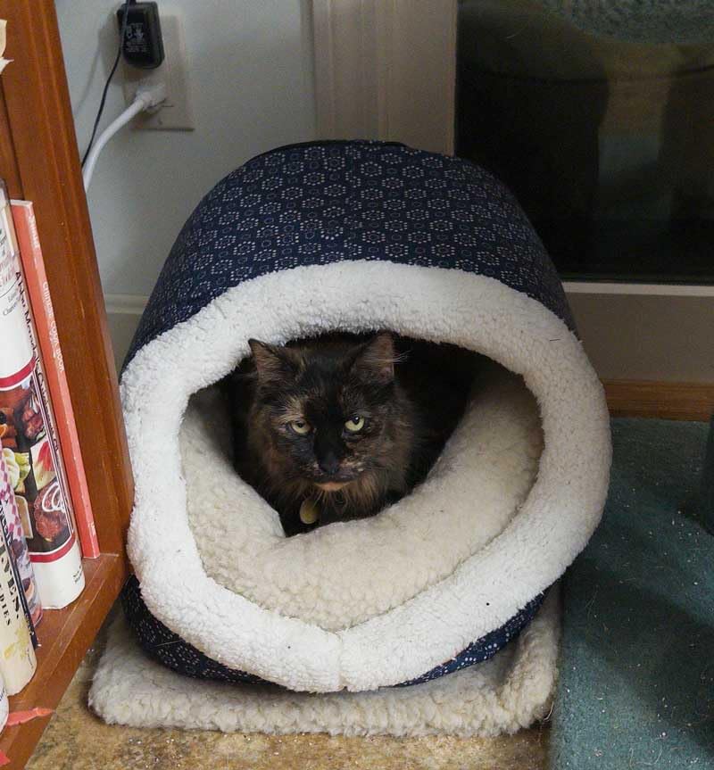 K&H Heated Cat Bed, Thermo-Pet Cave Indoor, Safety Listed, 4W, Navy/Geo, Collapsible customer photo 1