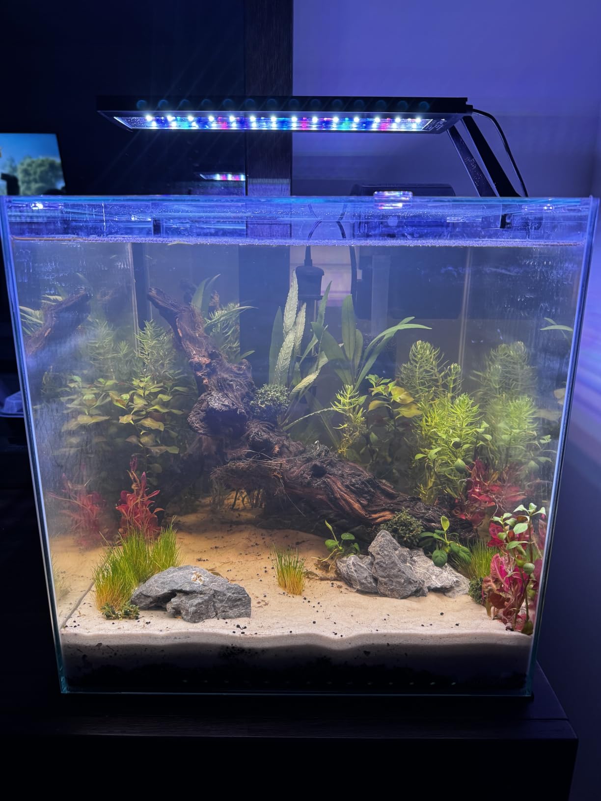 hygger Clip On 24/7 Lighting Aquarium LED Light, Sunrise-Daylight-Moonlight and DIY Mode, Adjustable Timer/Brightness Fish Tank Light with 7 Colors for Planted Tank (14W for 12~20in Tank) customer photo 1