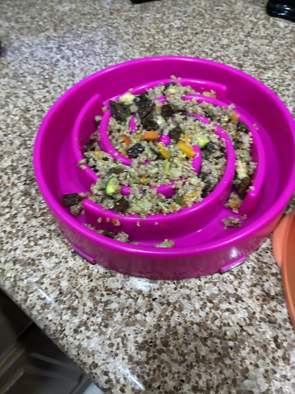 JASGOOD Slow Feeder Dogs Bowl for Large Medium Dogs,Anti-Gulping Pet Slower Food Feeding Bowls Stop Bloat,Preventing Choking customer photo 1