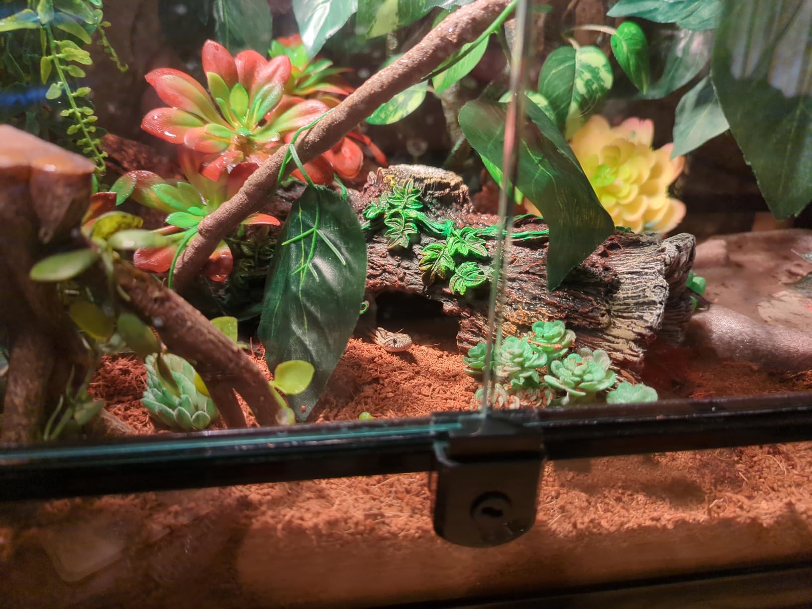 REPTI ZOO Tempered Glass Reptile Terrarium 30 Gallon, Wide Reptiles Tank 30