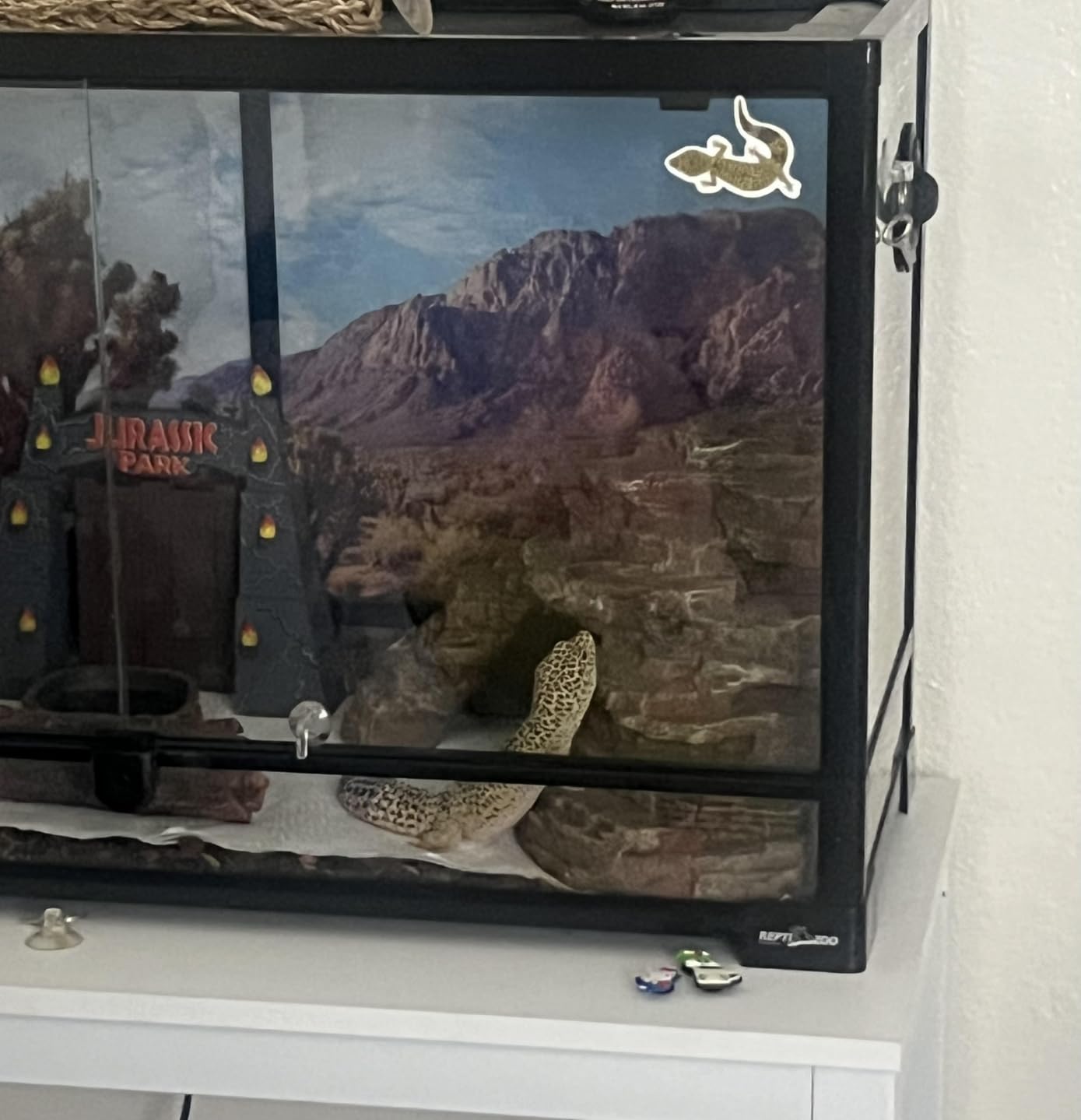 REPTI ZOO Tempered Glass Reptile Terrarium 30 Gallon, Wide Reptiles Tank 30