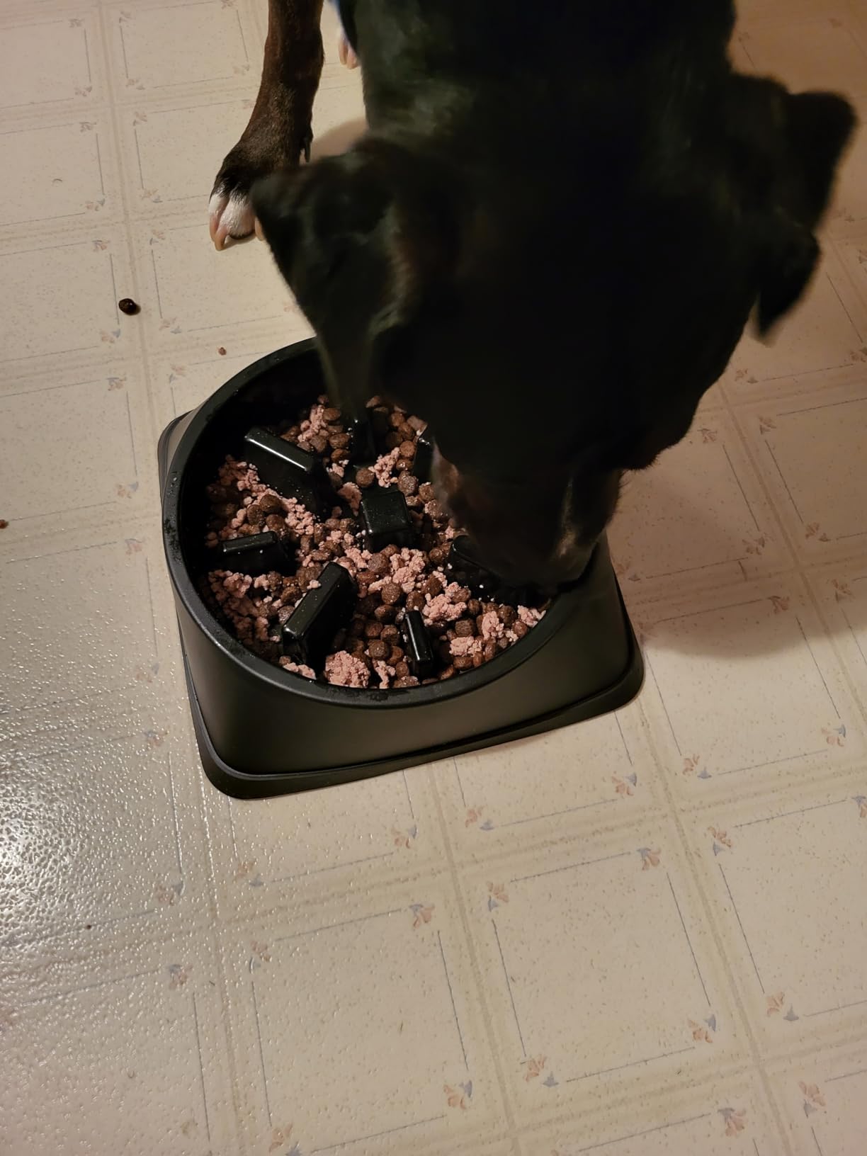 GORILLA GRIP® Patented Slow Feeder Dog and Cat Bowl, BPA Free, 1 Cup Gray customer photo 1