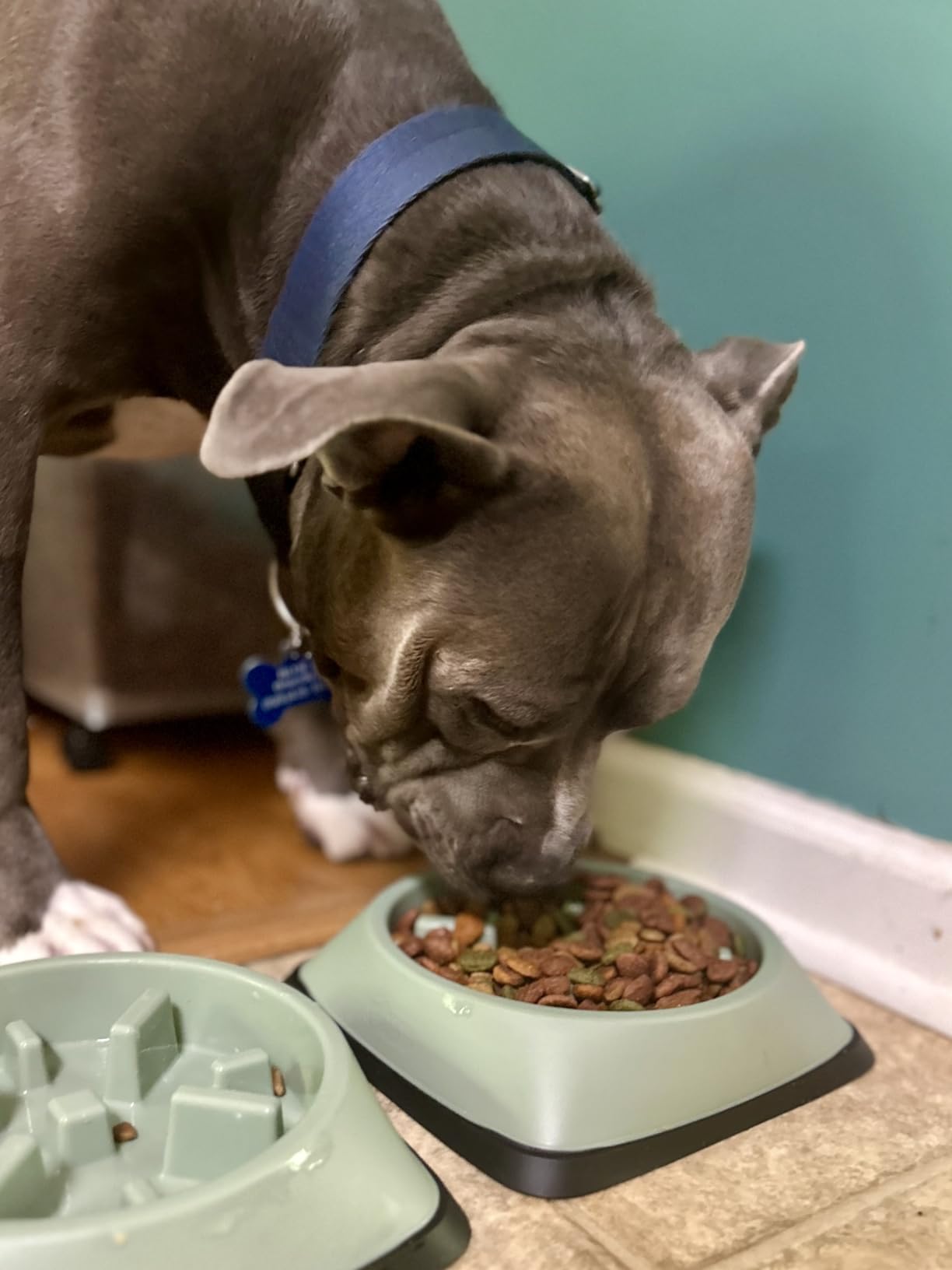 GORILLA GRIP® Patented Slow Feeder Dog and Cat Bowl, BPA Free, 1 Cup Gray customer photo 2