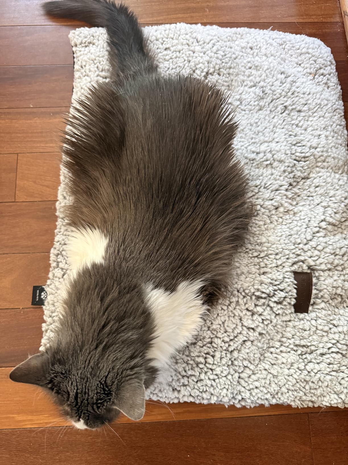 Mora Pets Self Warming Cat Bed, Self Heating Cat Dog Mat, Removable Washable Cover, Grey 24