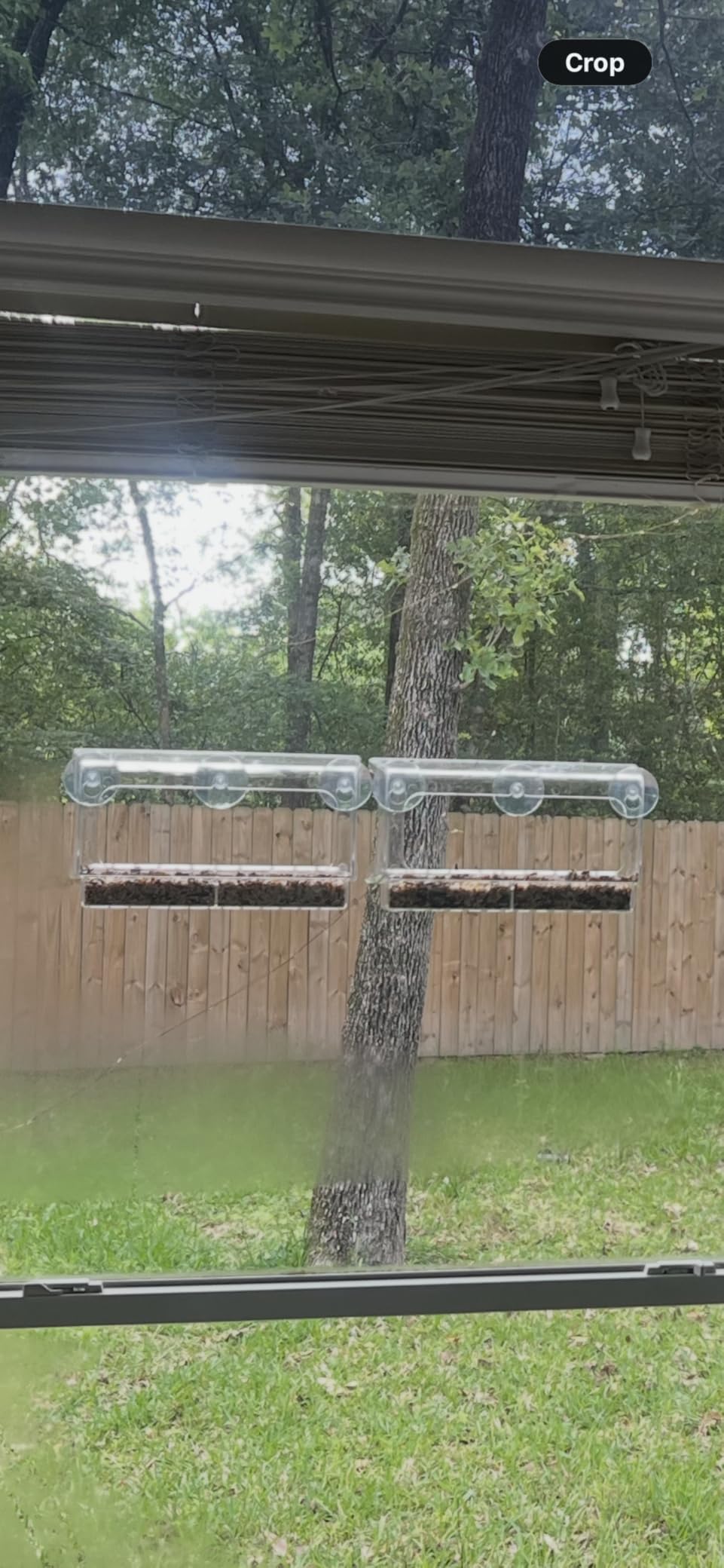LUJII Shatterproof Window Bird Feeder with Strongest Suction Cups, Polycarbonate Window Mount Feeder with Crystal Clear View & Life-Out Tray, Fits Bigger Birds Like Cardinal or Blue Jay, Clear customer photo 1