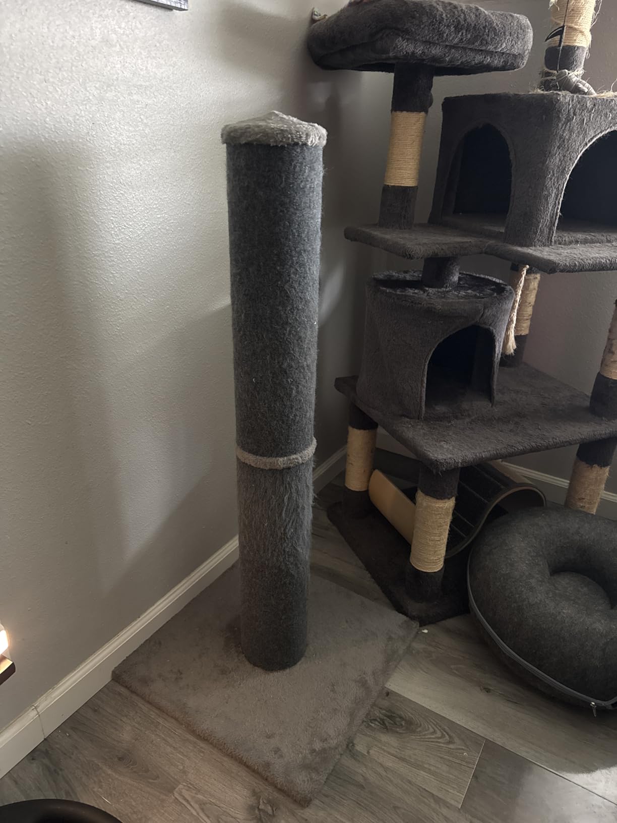 Cat Craft 41
