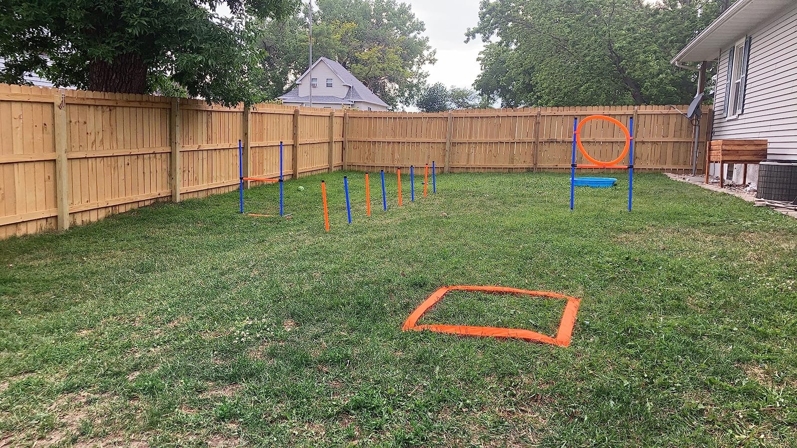 Dog Agility Training Equipment, 60-piece Dog Obstacle Course Training Starter Kit Pet Outdoor Game with Tunnel, Agility Hurdle, Weave Poles, Jump Ring, Pause Box, Toy Balls and Storage Bag customer photo 2