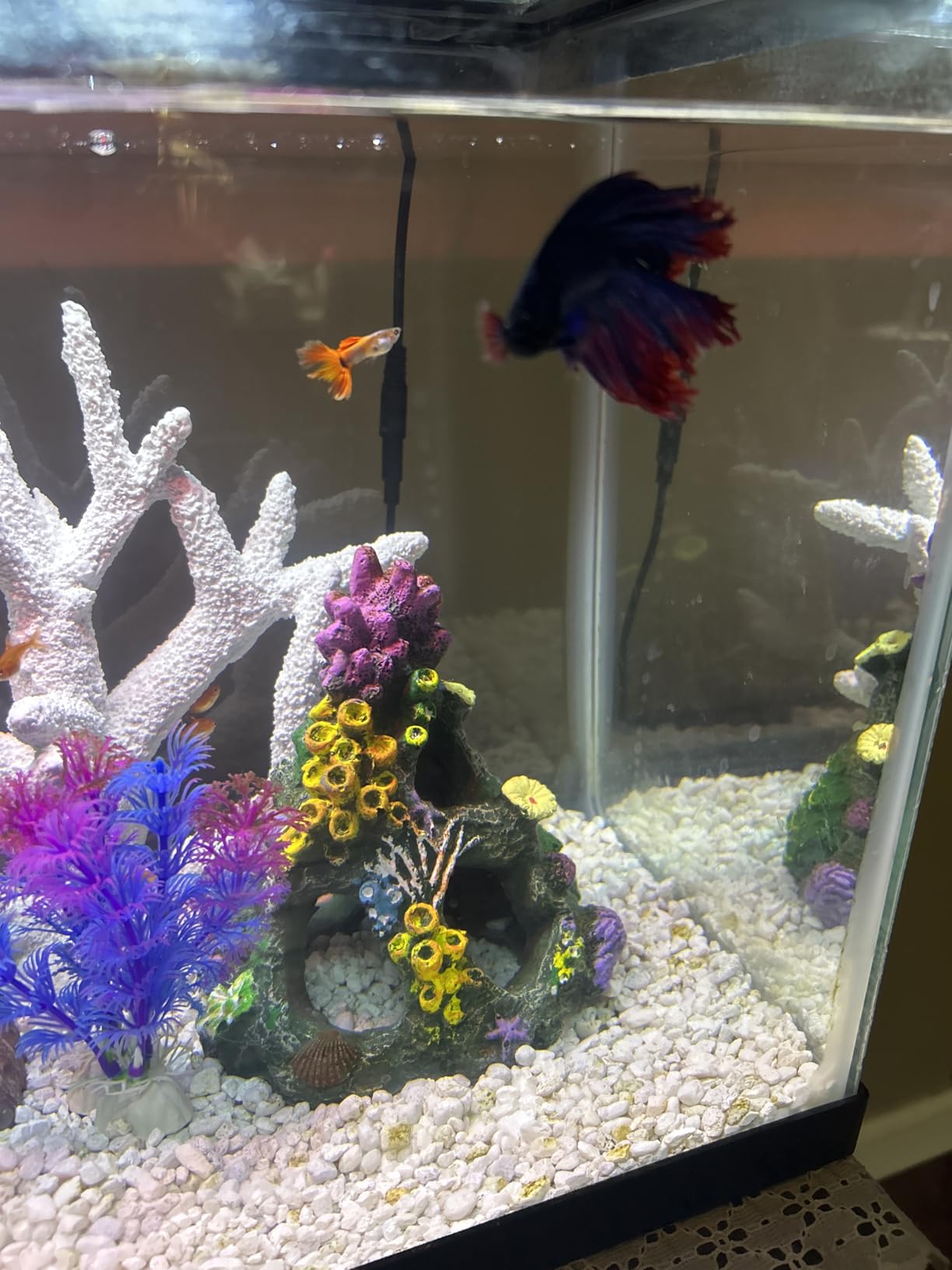 GSD Aquarium Colorful Coral Reef Set Fish Tank Decoration Mountain Ornament for Aquarium Environments Decor Accessories, Coral Mountain x 1, Aquatic Plant x 4 customer photo 1