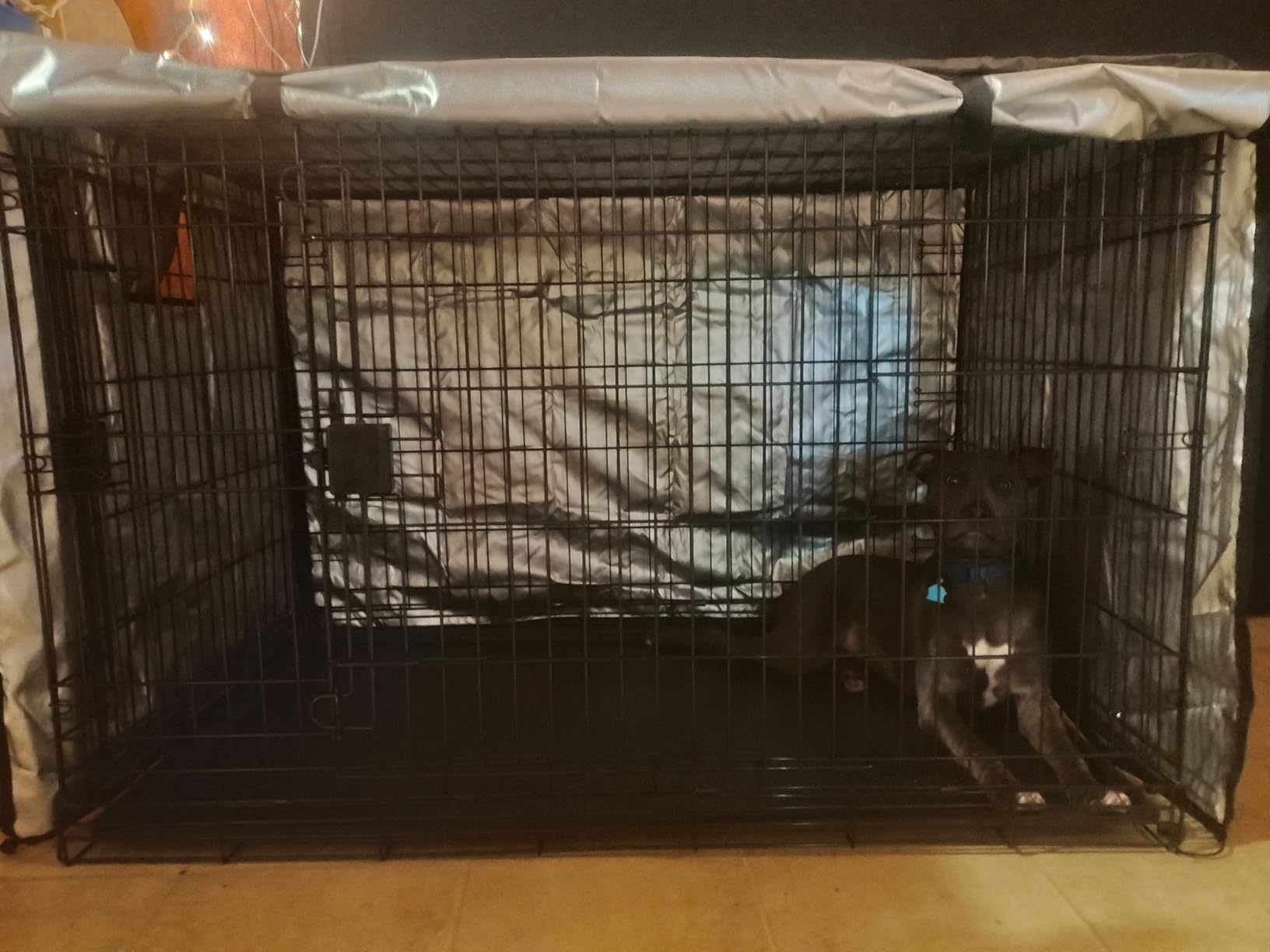 Amazon Basics Portable, Collapsible Metal Wire Dog Crate with Removable Tray, Double Door, Easy to Assemble, Divider Panel for Large Dogs, 42