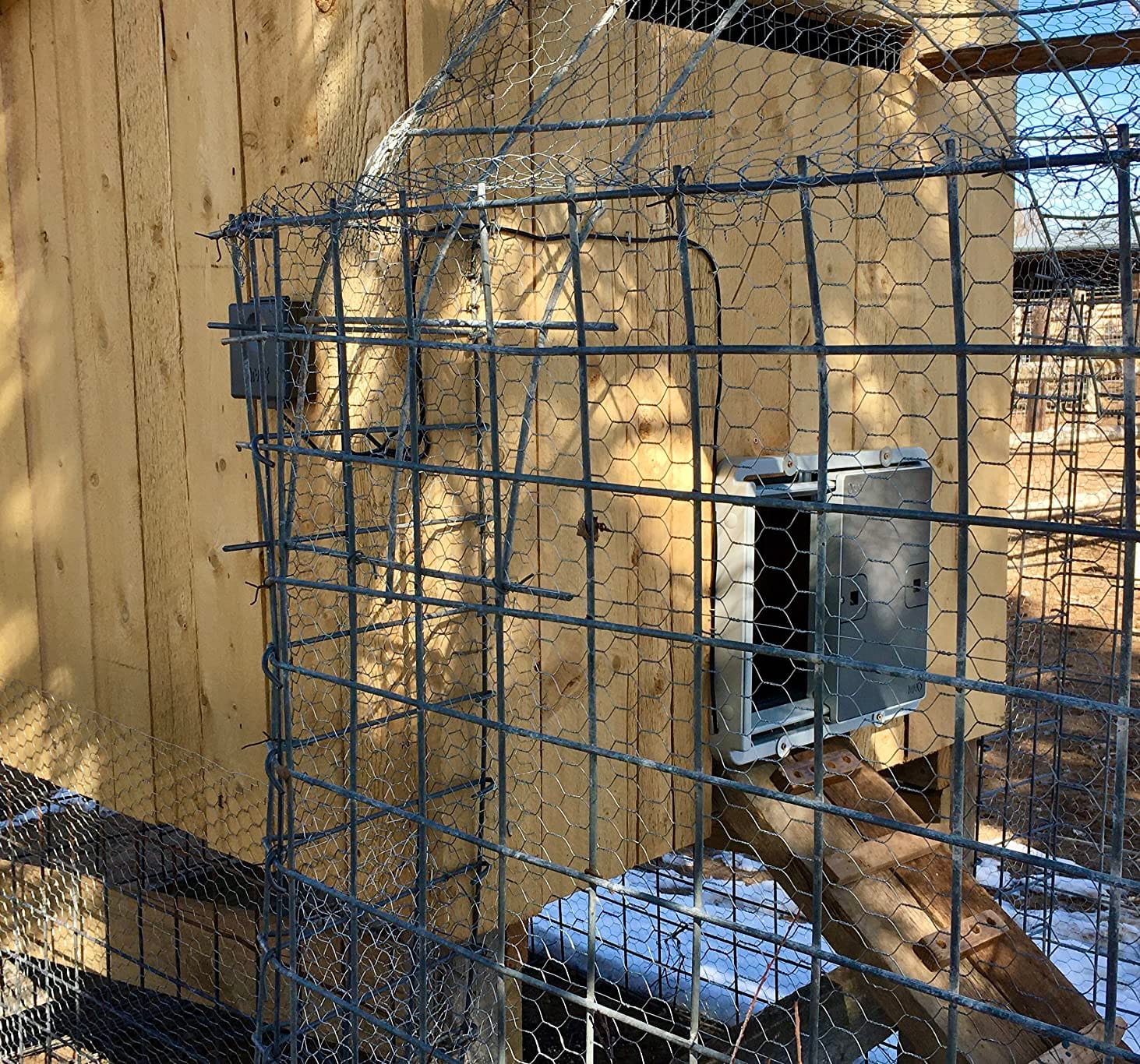 Omlet Automatic Chicken Coop Door Opener | Operated by Light Sensor or Timer | Easy to Install, No Maintenance Required | Improves Coop Security and Insulation | Built-in Safety Sensors | Grey customer photo 1