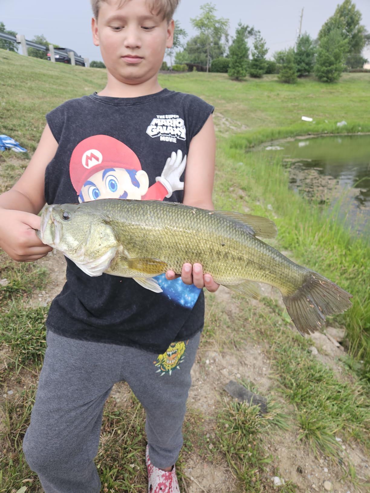 Summer and Centron Spinning Reels, 12 +1 BB Light Weight & Ultra Smooth Reel for Ice/Summer 3000/1000 Fishing Reel by QINGLER customer photo 1