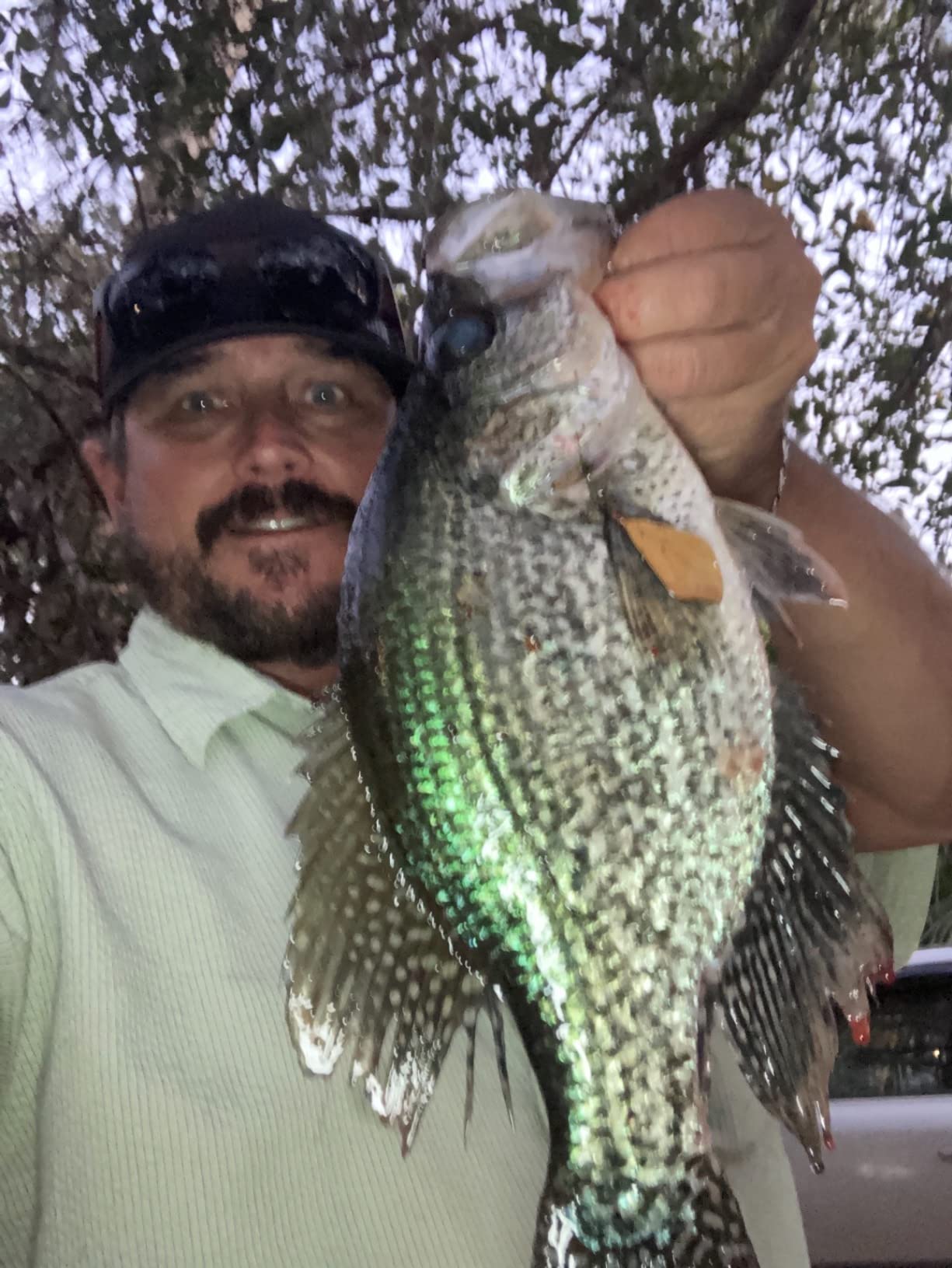 Summer and Centron Spinning Reels, 12 +1 BB Light Weight & Ultra Smooth Reel for Ice/Summer 3000/1000 Fishing Reel by QINGLER customer photo 2