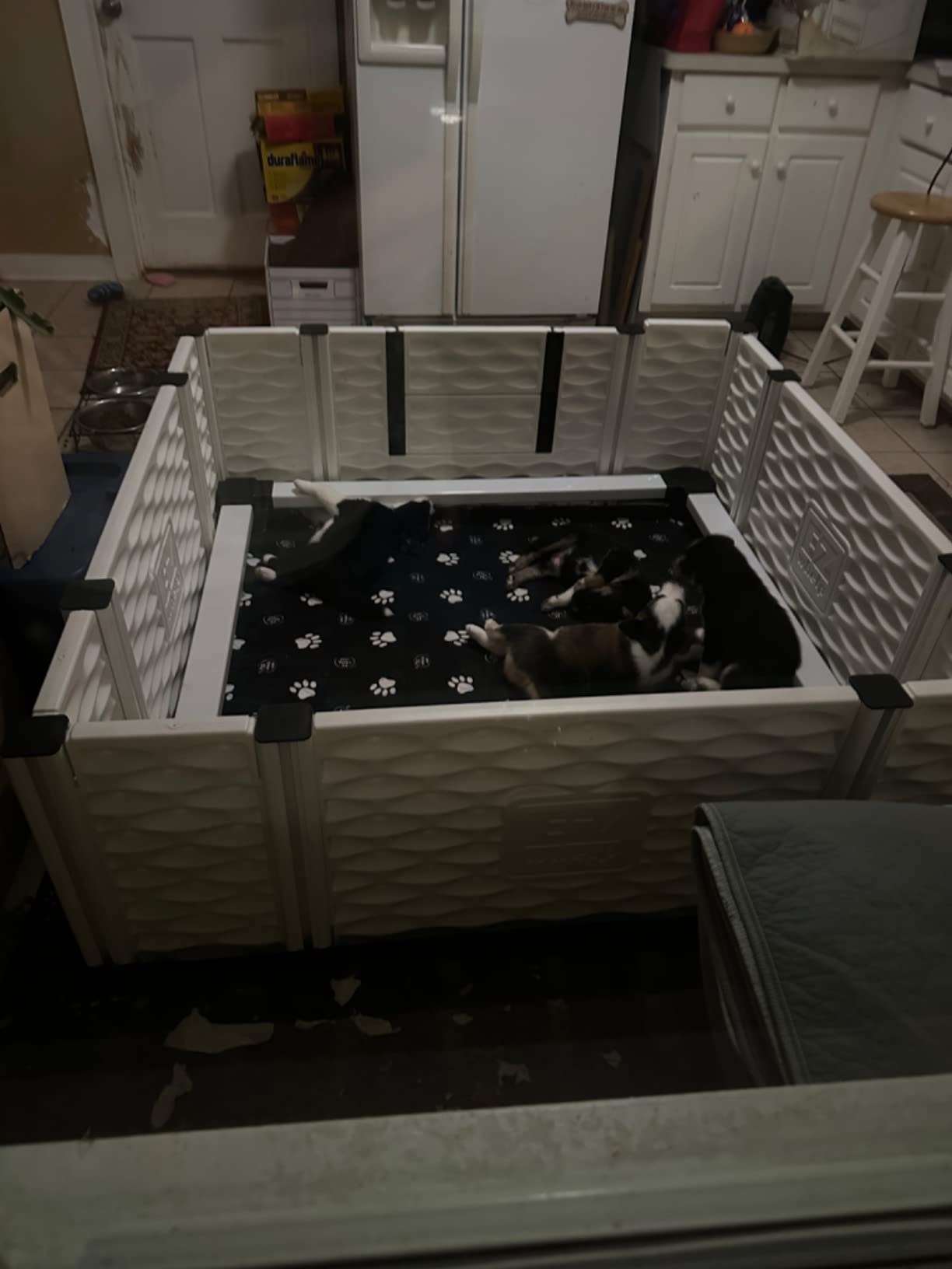 EZwhelp EZclassic Large Dog Whelping Box with Rails, 48x48x18 in, Gray Pad customer photo 2