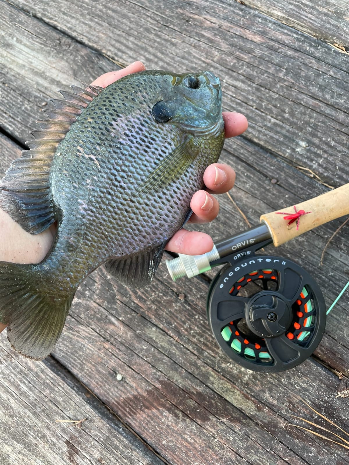 Orvis Encounter Fly Rod Outfit - 4Pc Fishing Rod and Reel Combo customer photo 1