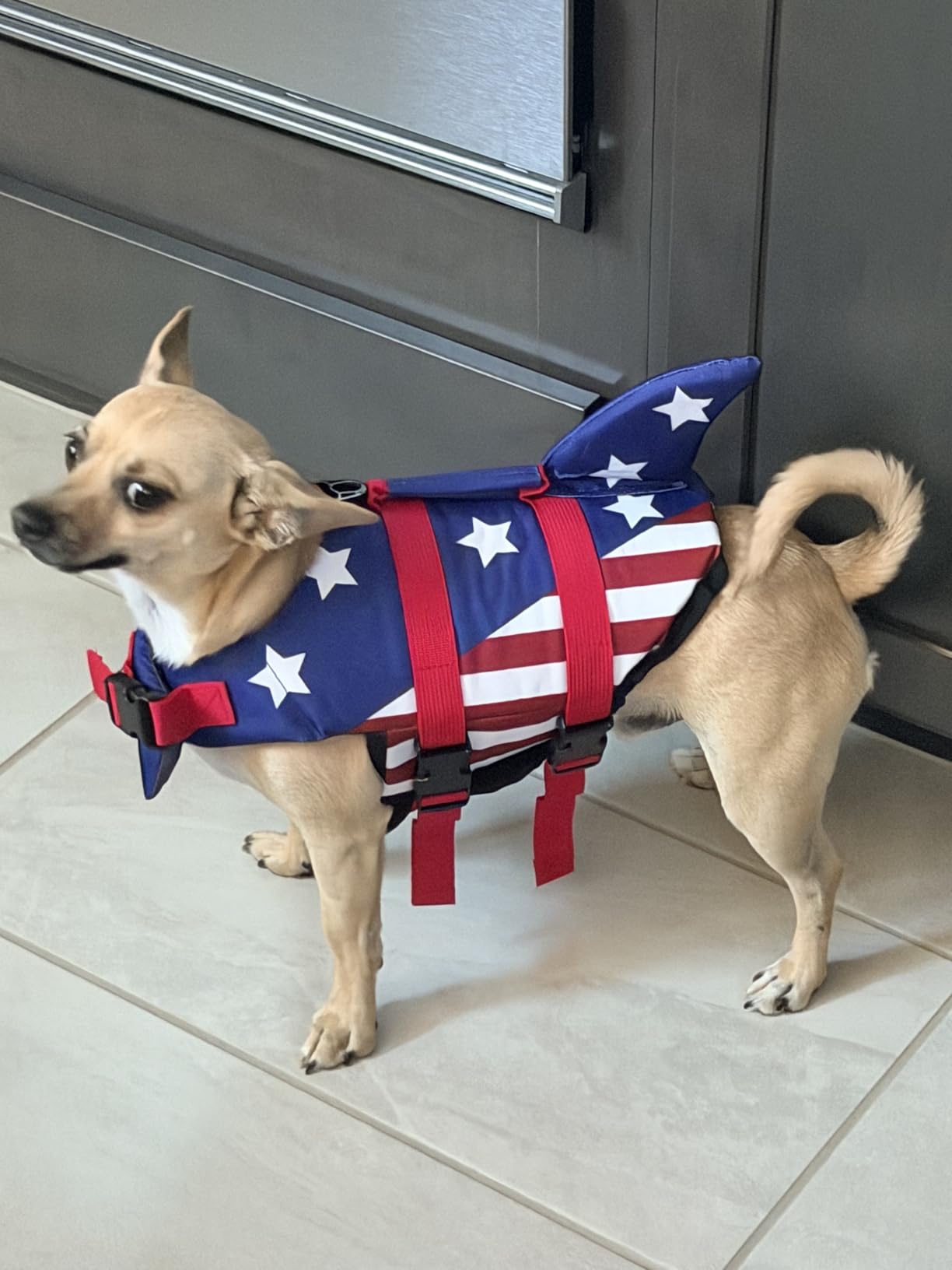 EMUST Large Dog Life Jacket, Pet Life Vests for Swimming, Small/Medium/Large Dog Flotation Vest with Rescue Handle for Water at Pool, Beach, Boating (XL,Pool Blue) customer photo 1