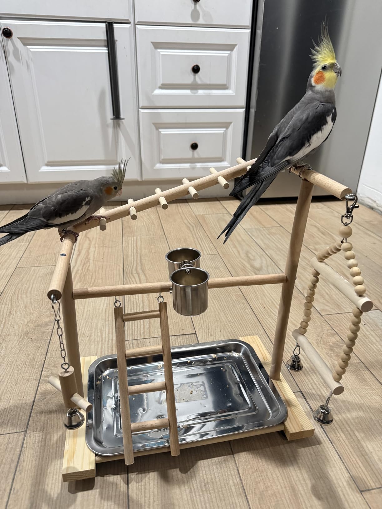 4 Layers Wood Pet Parrot Playstand customer photo 1