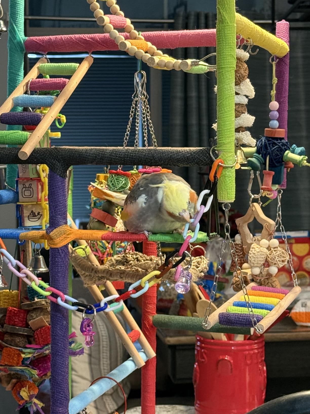 4 Layers Wood Pet Parrot Playstand customer photo 2