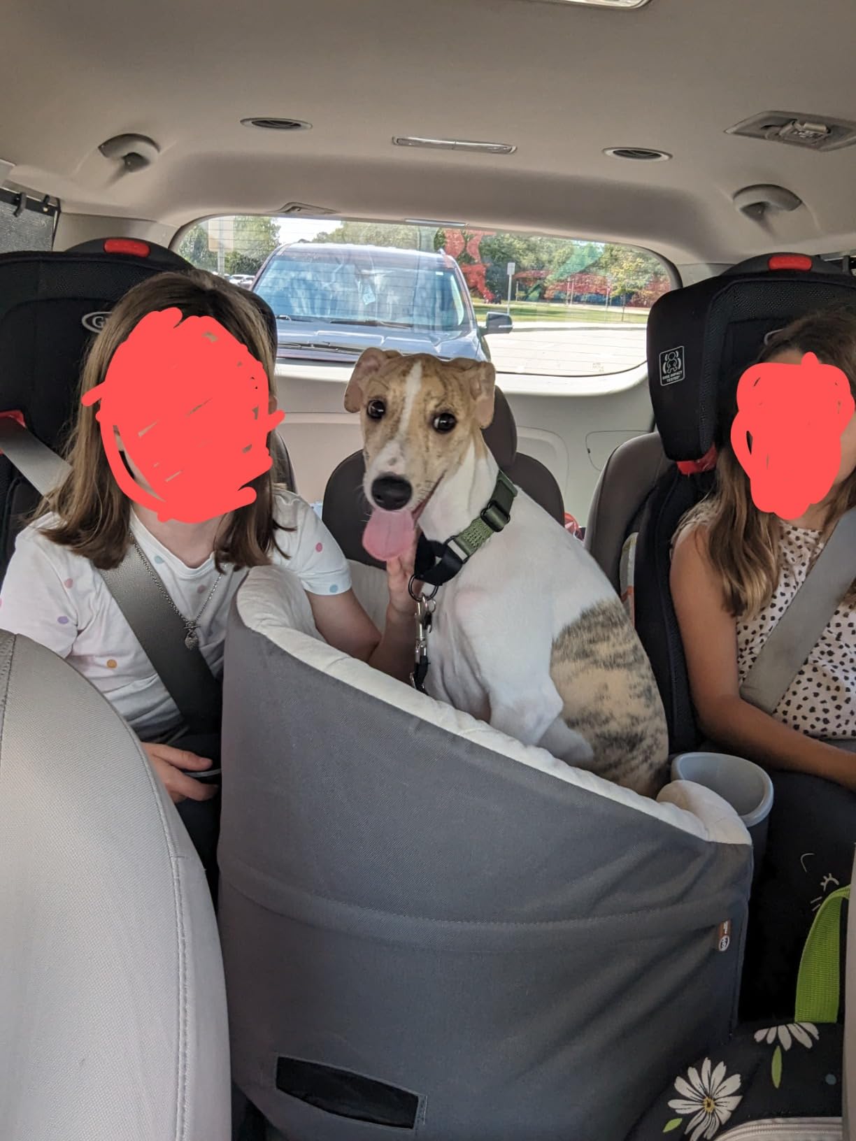 K&H Dog Car Seat, Bucket Booster for Small to Medium Pets, L Black/Cream | Collapsible Dog Car Seats for Small Dogs. Seat Belt Secured, 2 Safety Leashes, Washable Covers customer photo 2