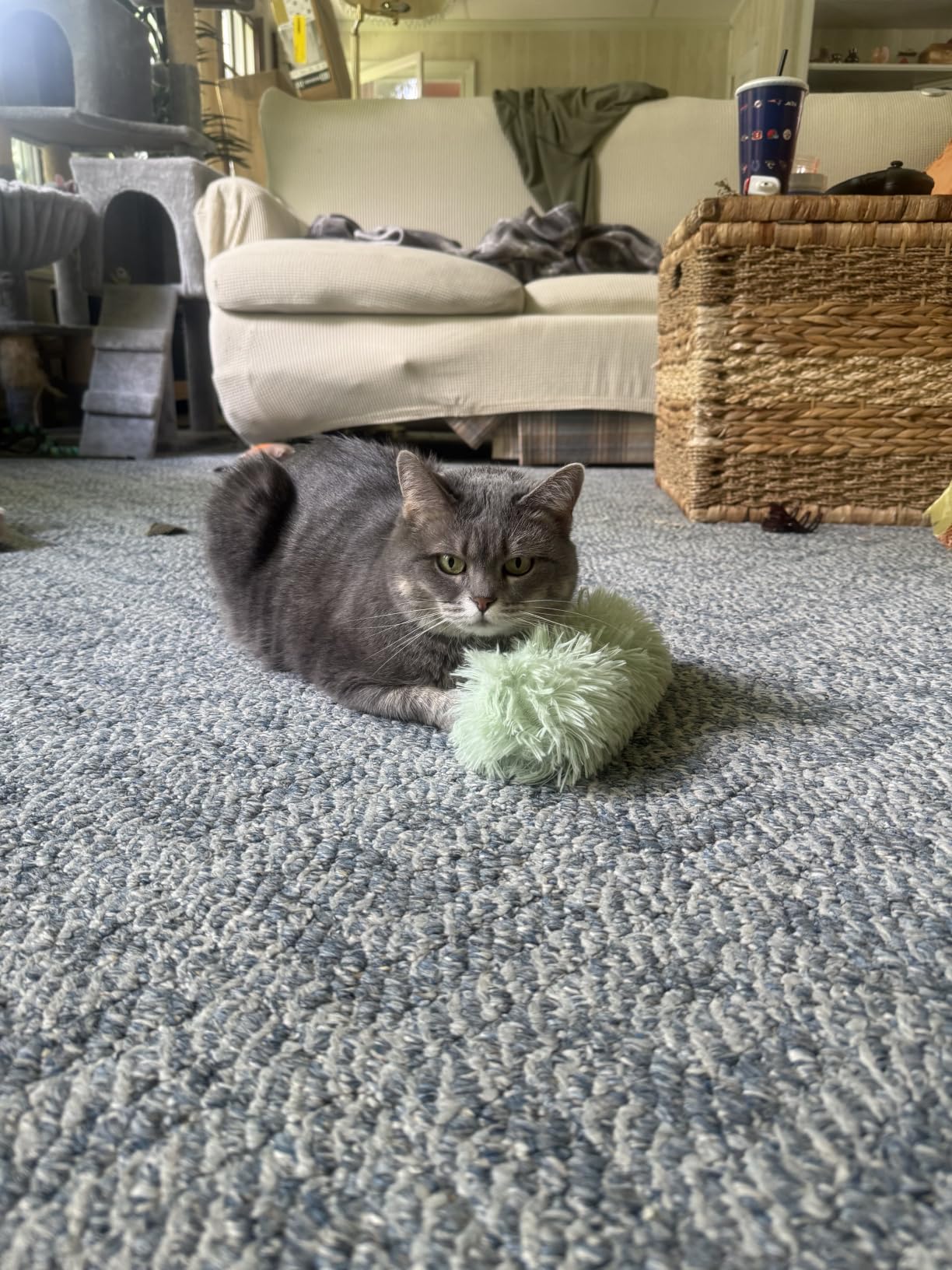 Potaroma Cat Toys Pillows, 3 Pack, Catnip Inside, Indoor Interactive Fun | Crinkle Sound, Soft Durable, Kitten Kicker, Promotes Kitty Exercise customer photo 1