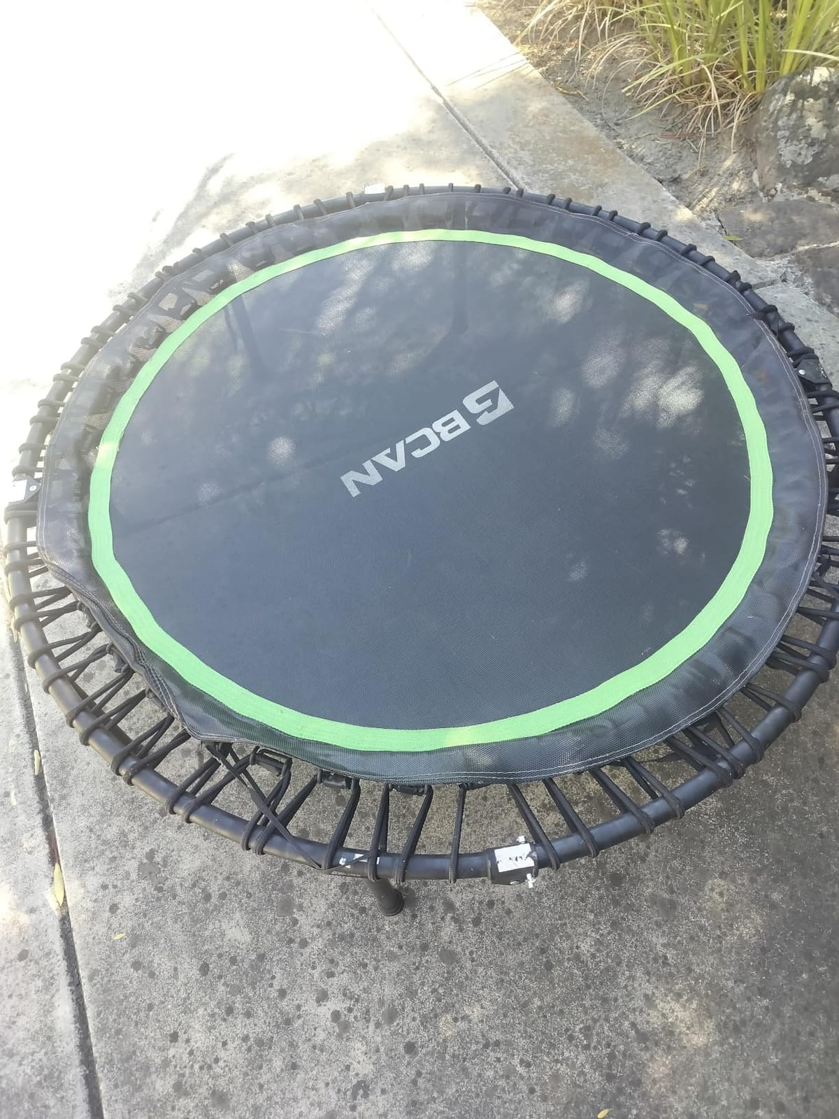 BCAN BT2 Mini Rebounder Trampoline for Adults|Bungee|No Handle|FED Fitness customer photo 1