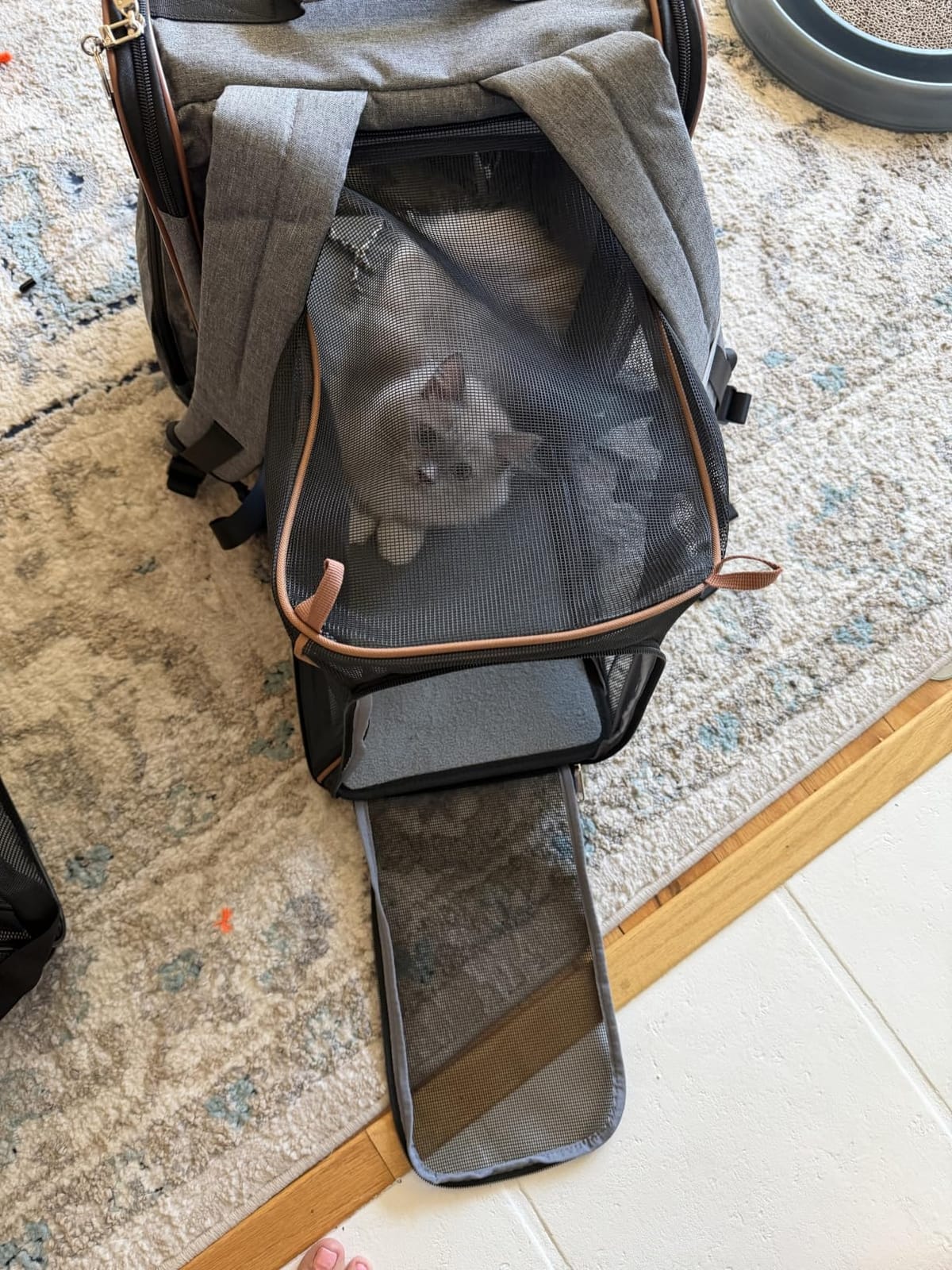 Cat Carrier Backpack, Expandable Pet Carrier with Sun Shade & Full Front Opening, Breathable Mesh Backpack for Small Dogs & Medium Cats Up to 18 Lbs, Foldable for Hiking, Camping (Grey) customer photo 2