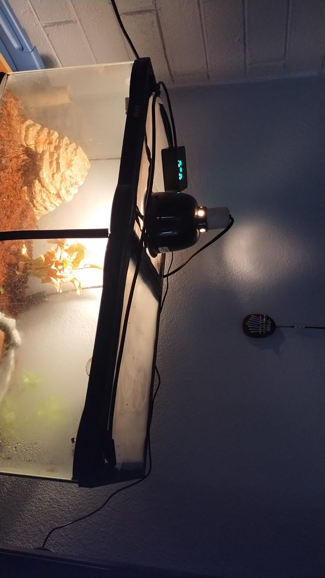 MYGIIKAKA Reptile Fogger Automatic Reptile Mister Fogger for Terrarium, Timed Terrariums Humidifiers for Chameleon/Lizard/Snake/Turtle/Frog customer photo 2