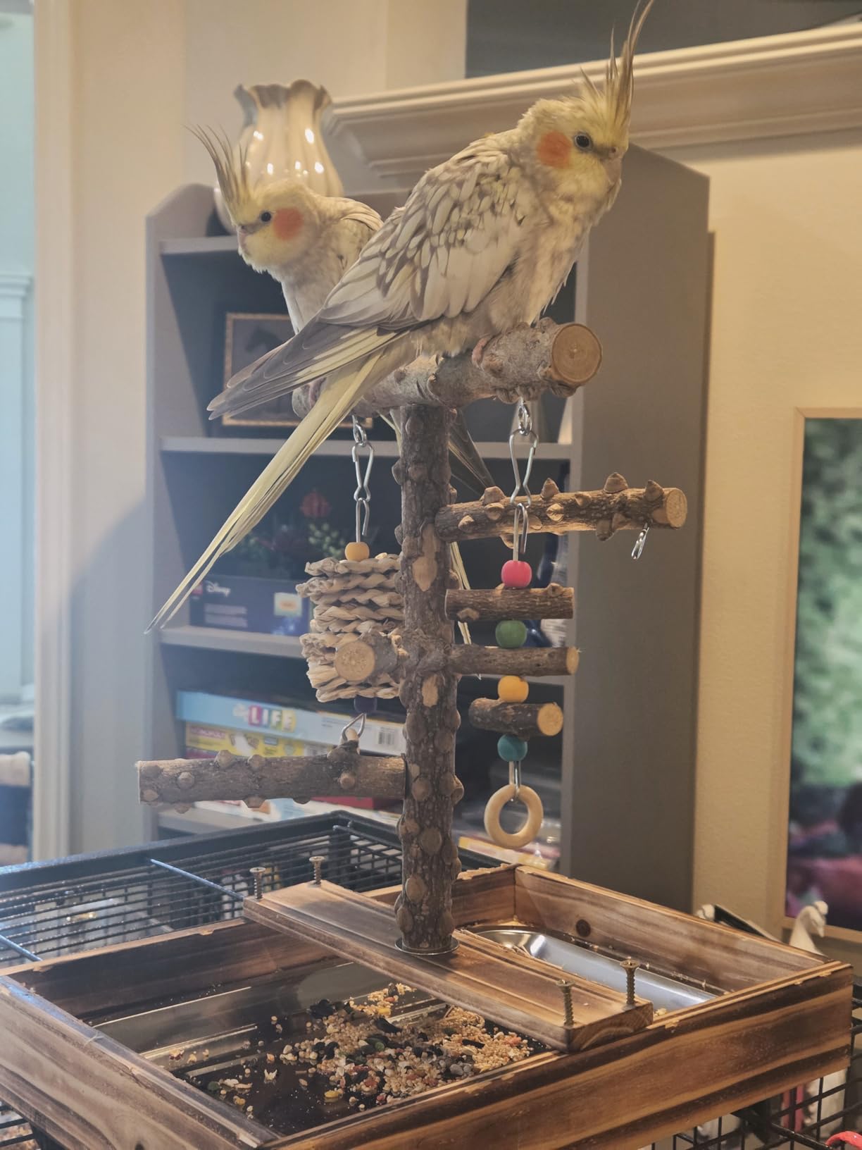 LIMIO Natural Wood Bird Toys Playground, Bird Cage Accessories, Bird Perches, with Removable Tray and 2 Stainless Steel Cups customer photo 2