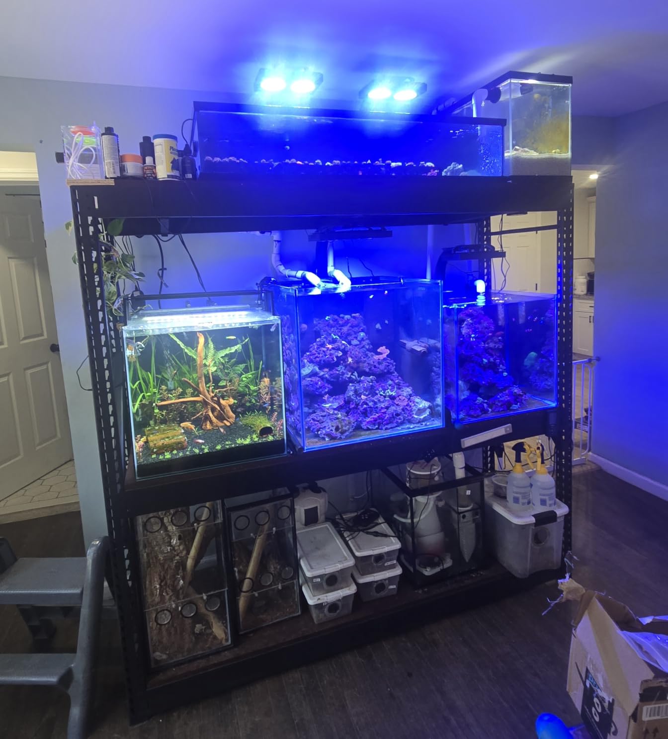 MagTool DC Protein Skimmer with Controllable Pinwheel Pump (N130 Plus) customer photo 2