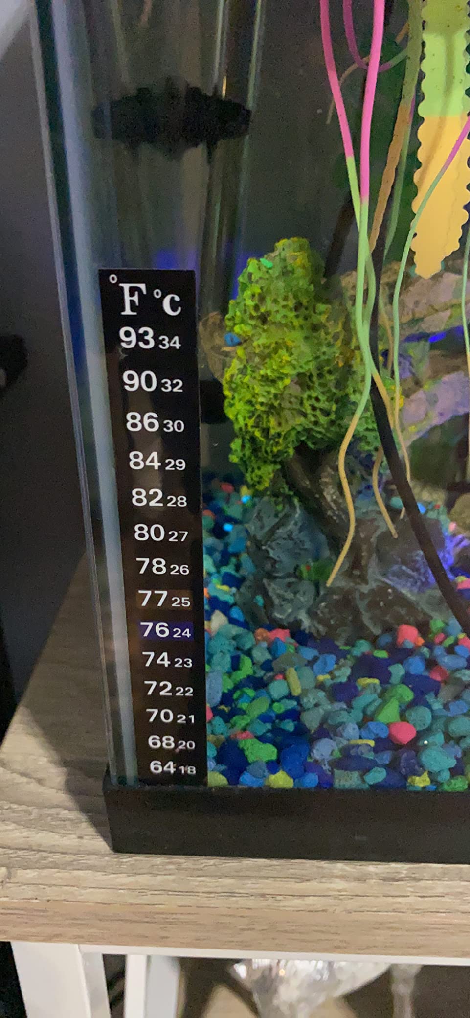HITOP Compact Submersible Aquarium Heater - 100W Digital Heater for Fish Tank Turtle Tank, for Saltwater and Fresh Water with Temperature Controller customer photo 1