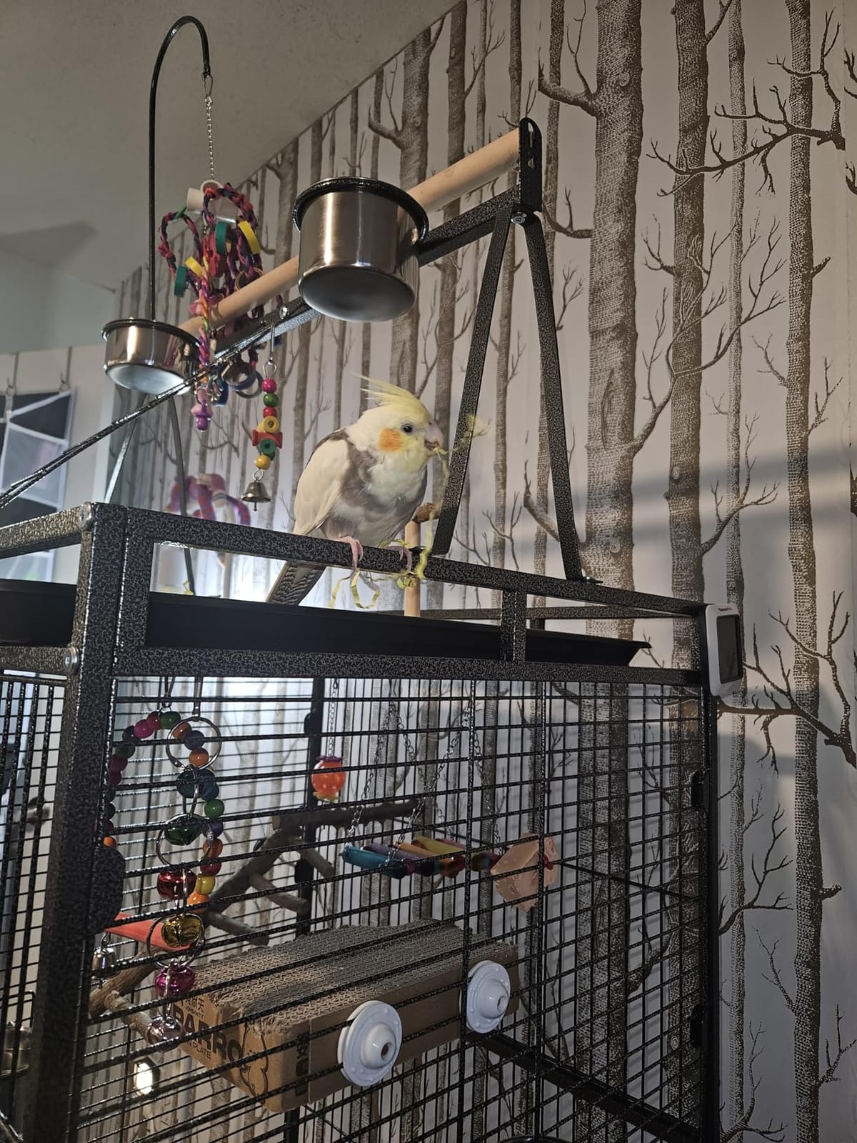 82 Inch Bird Cage, BOINN Bird Flight Cages with Rolling Stand & Bottom Tray, Wrought Iron Parrot Cage with PlayTop for Parakeet, Lovebirds, Ringneck, Cockatiels customer photo 1