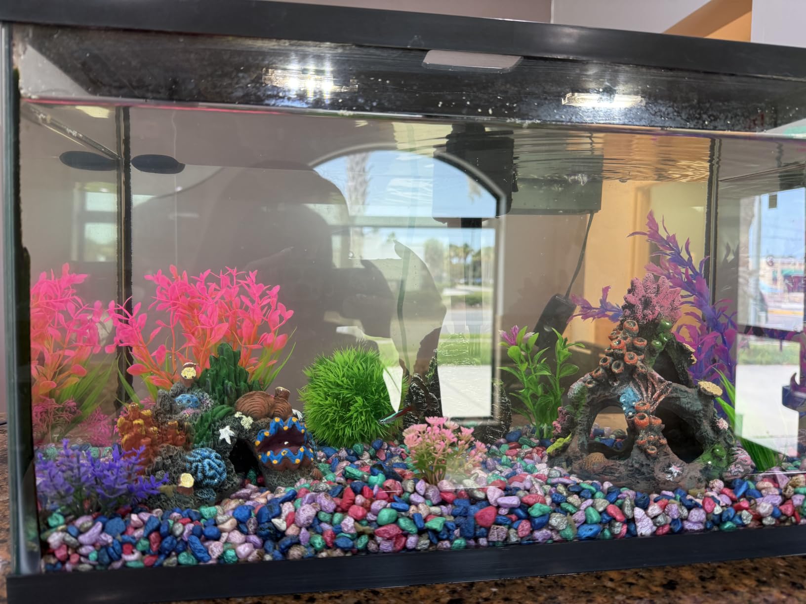 Ameliade Aquarium Artificial Plants & Rock Cave Betta Fish Tank Decor Set | Betta Goldfish Aquarium Accessories, Soft Plastic Plants & Rock Cave Decorations, Small and Large Fish Bowl Ornaments customer photo 2