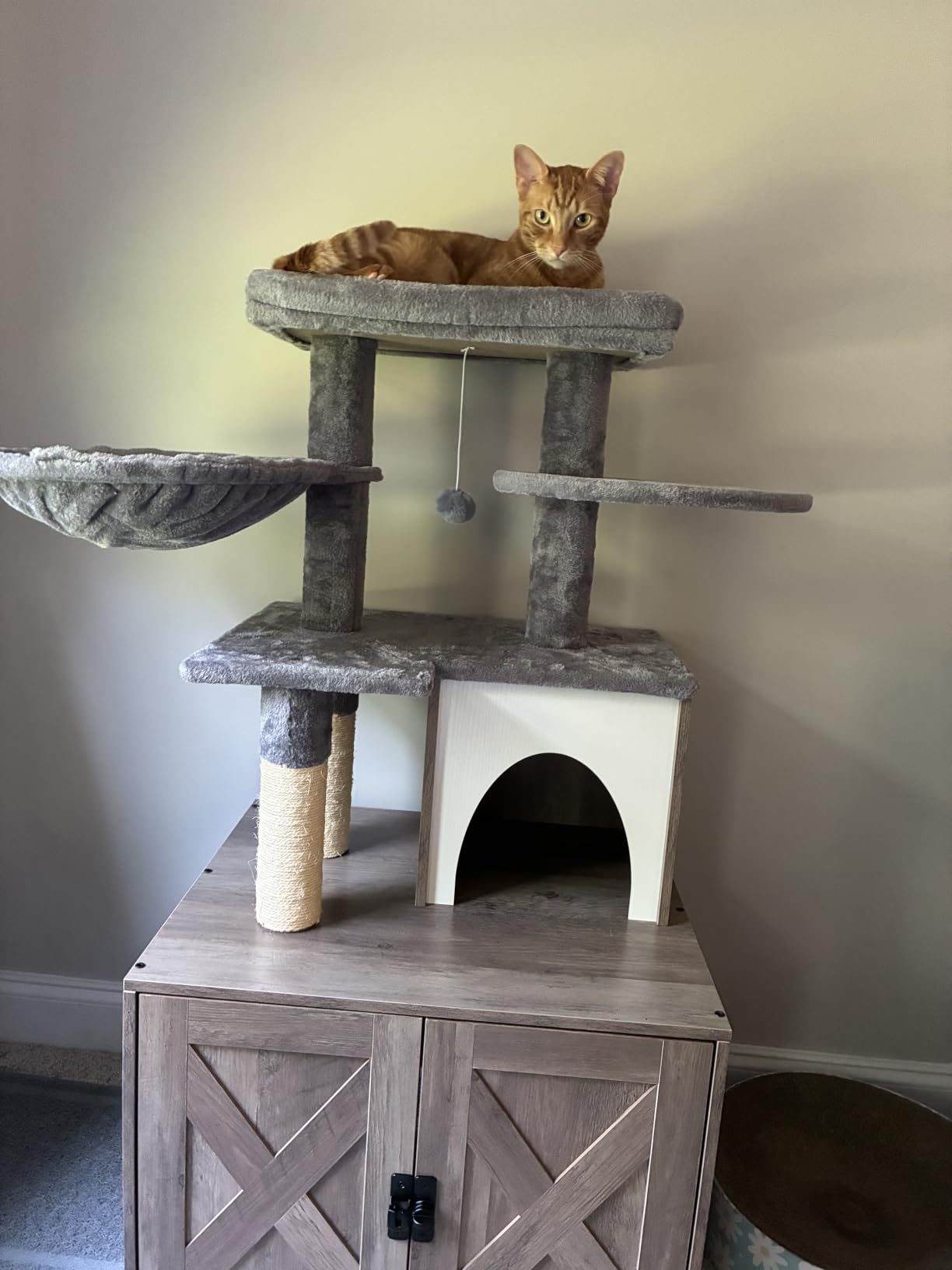 Snughome Cat Litter Box Enclosure with Tree Tower and Condo, Hidden Washroom Furniture with Sisal Scratching Post and Soft Plush Perch, Wooden Cat Furniture with Multiple Platforms, Grey customer photo 1