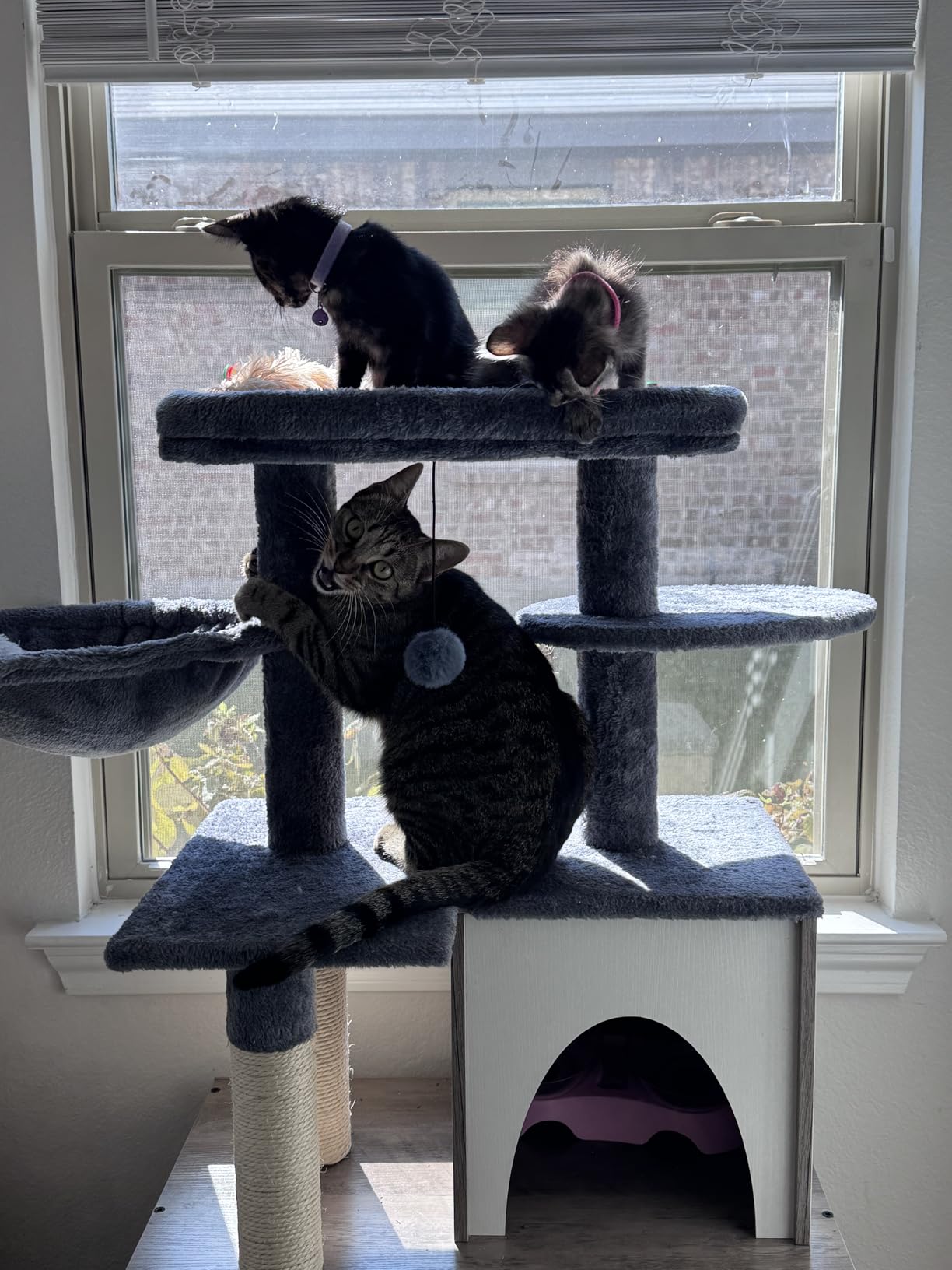 Snughome Cat Litter Box Enclosure with Tree Tower and Condo, Hidden Washroom Furniture with Sisal Scratching Post and Soft Plush Perch, Wooden Cat Furniture with Multiple Platforms, Grey customer photo 2
