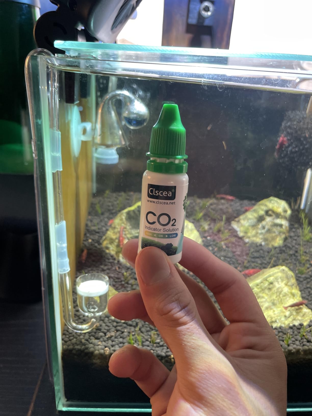 Aquarium CO2 Drop Checker CO2 Indicator (Glass Checker+15ml) customer photo 1
