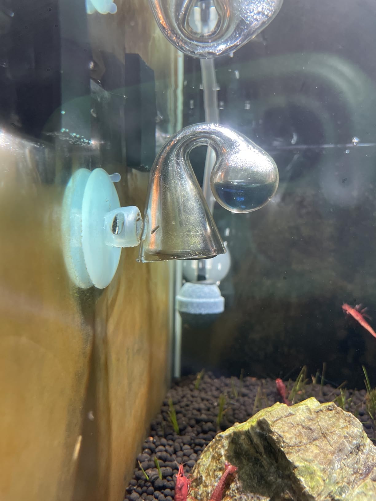 Aquarium CO2 Drop Checker CO2 Indicator (Glass Checker+15ml) customer photo 2