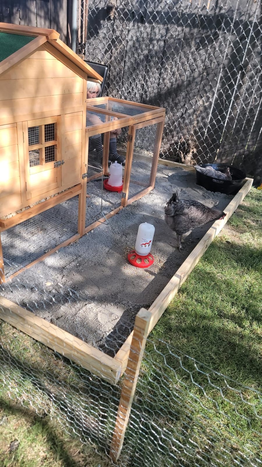 2-in-1 Chick Starter Set: 0.3 Gal Feeder & 0.4 Gal Waterer Green customer photo 2
