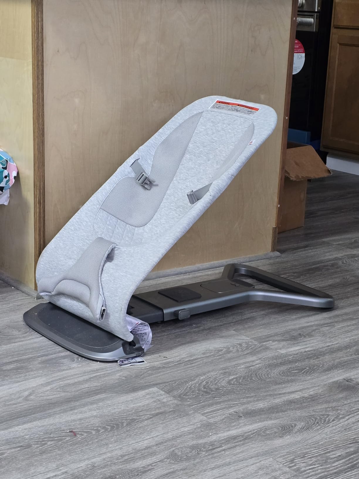 Ergobaby Evolve 3-in-1 Bouncer Seat for Babies and Toddlers 5.5-25 lbs customer photo 1