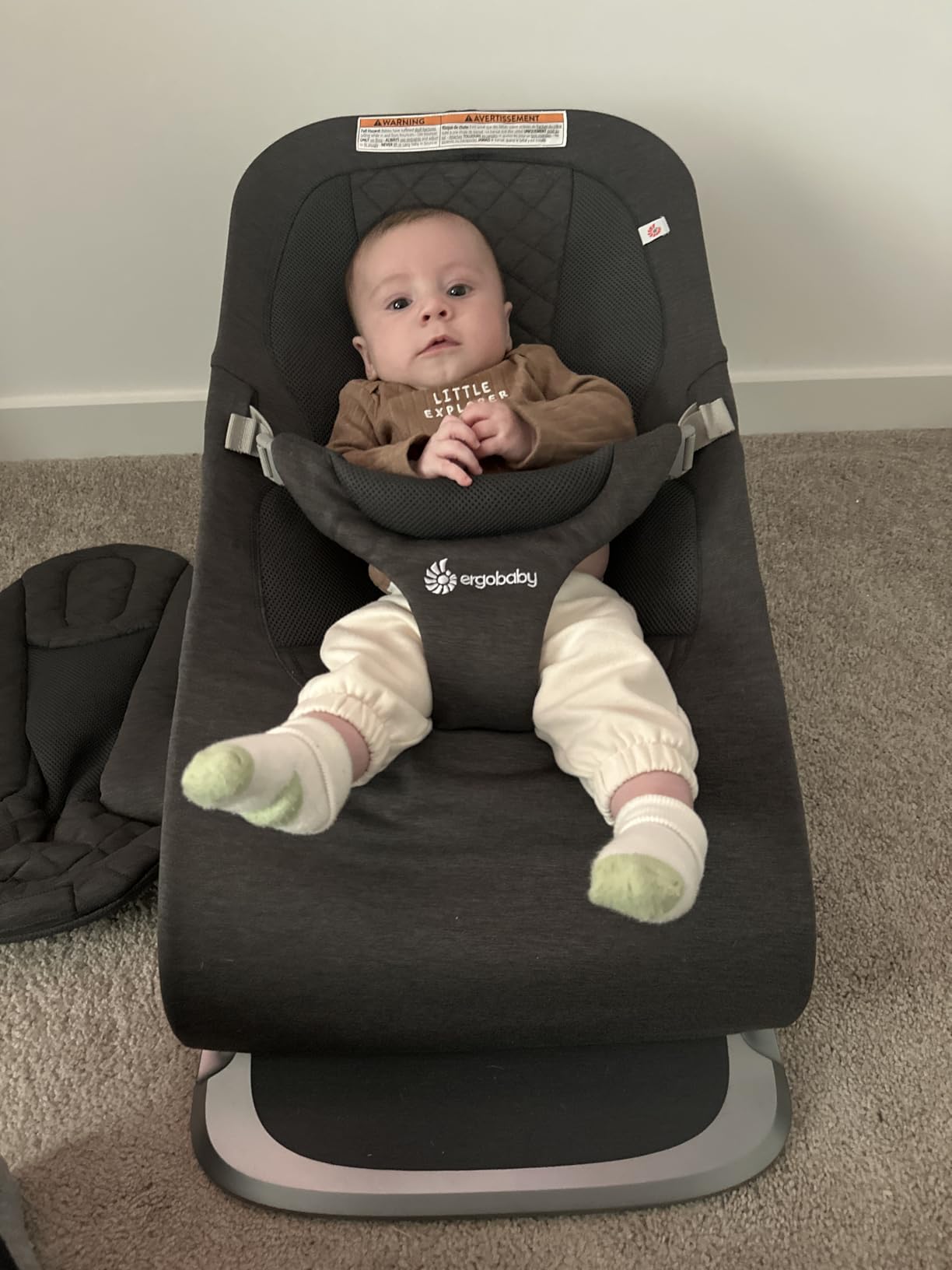 Ergobaby Evolve 3-in-1 Bouncer Seat for Babies and Toddlers 5.5-25 lbs customer photo 2