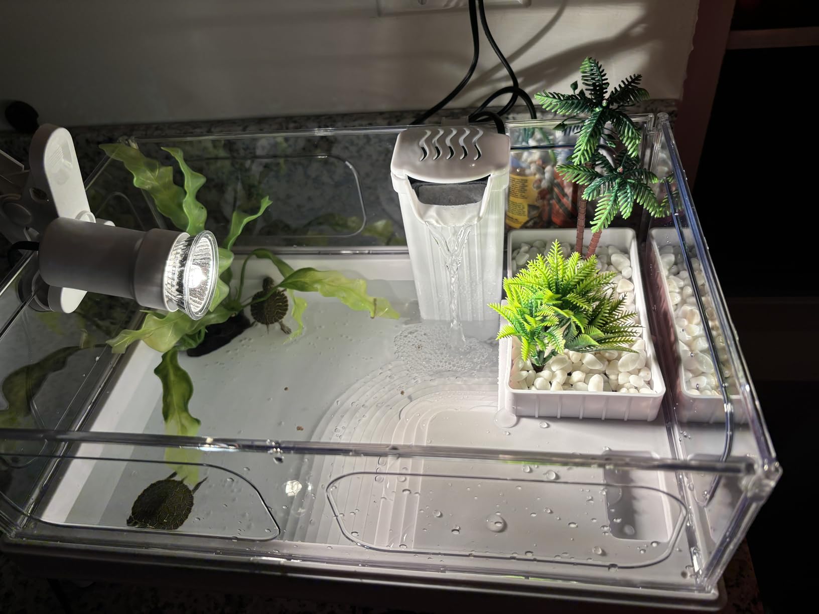 MoonOrange Small Turtle Tank Kit (Tank+Light+Filter), Acrylic Turtle Tank Starter Kit with Bask Platform, Bottom Drain, Multi-Function Area for Small Reptiles (White) customer photo 2