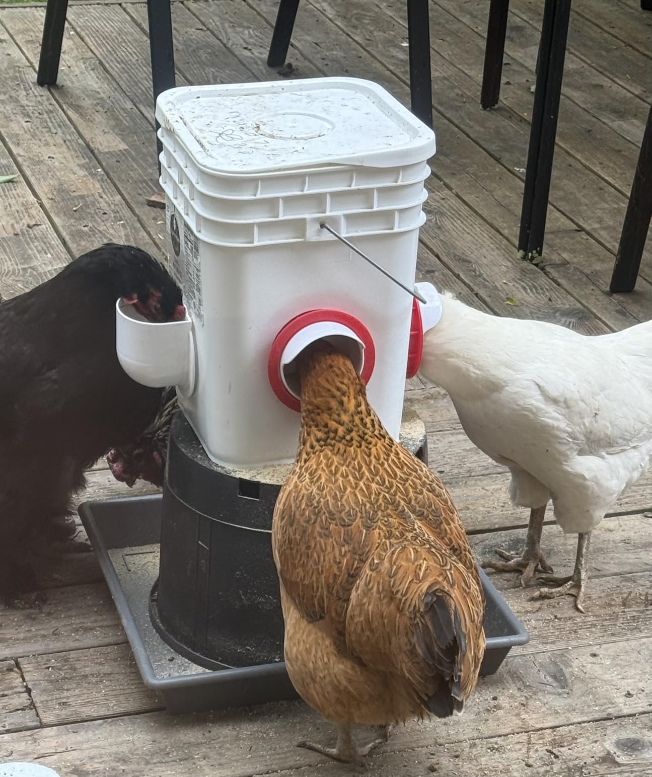 Chicken Feeders No Waste, DIY Automatic Poultry Feeder - 6 Ports Red customer photo 2