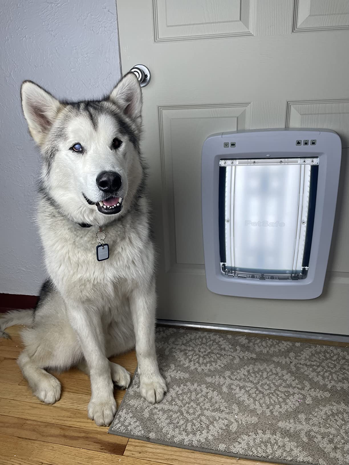 PetSafe SmartDoor Connected Pet Door, App Controlled, Medium customer photo 1