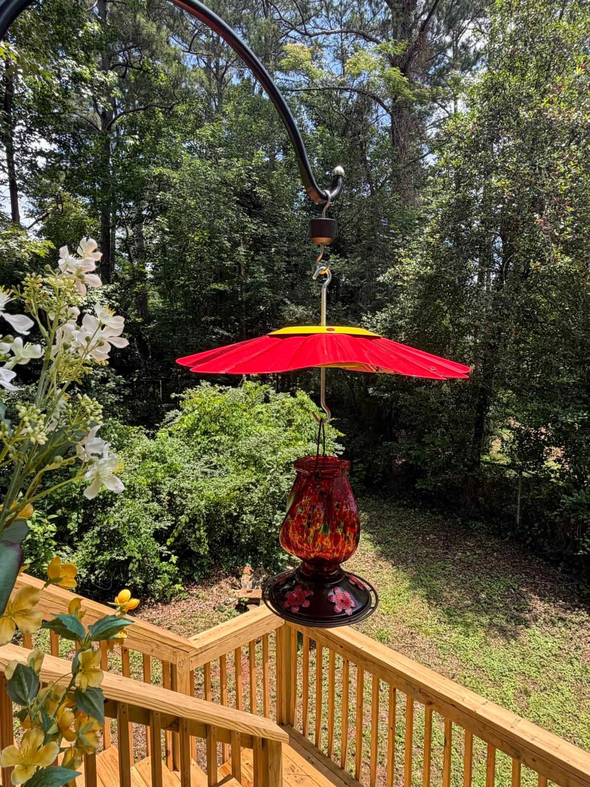 BOLITE Hummingbird Feeders for Outdoors Hanging, Hand Blown, Blue, 22oz | Glass Hummingbird Feeder with Ant Moat, 5 Bee-Proof Ports, Leak-Proof, 360° Perch, Garden Decor, Gifts for Women Men Mom Dad customer photo 1