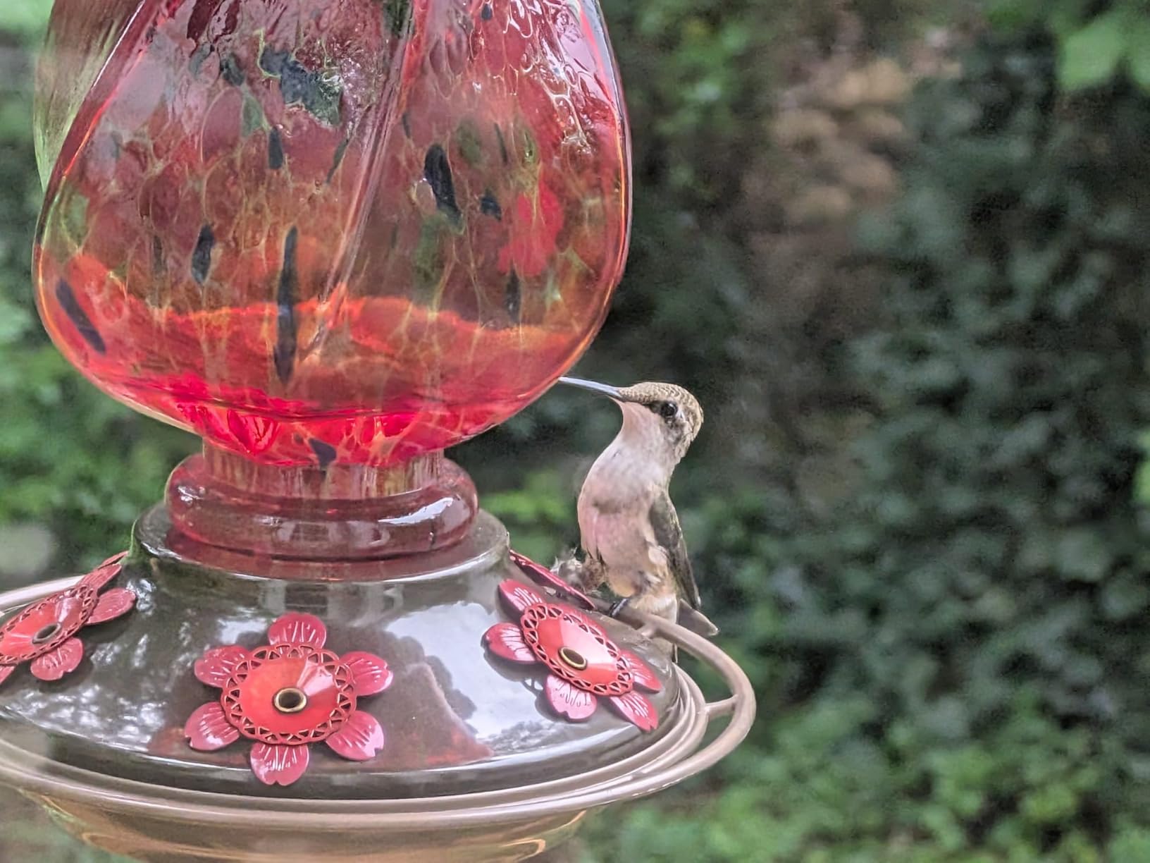 BOLITE Hummingbird Feeders for Outdoors Hanging, Hand Blown, Blue, 22oz | Glass Hummingbird Feeder with Ant Moat, 5 Bee-Proof Ports, Leak-Proof, 360° Perch, Garden Decor, Gifts for Women Men Mom Dad customer photo 2