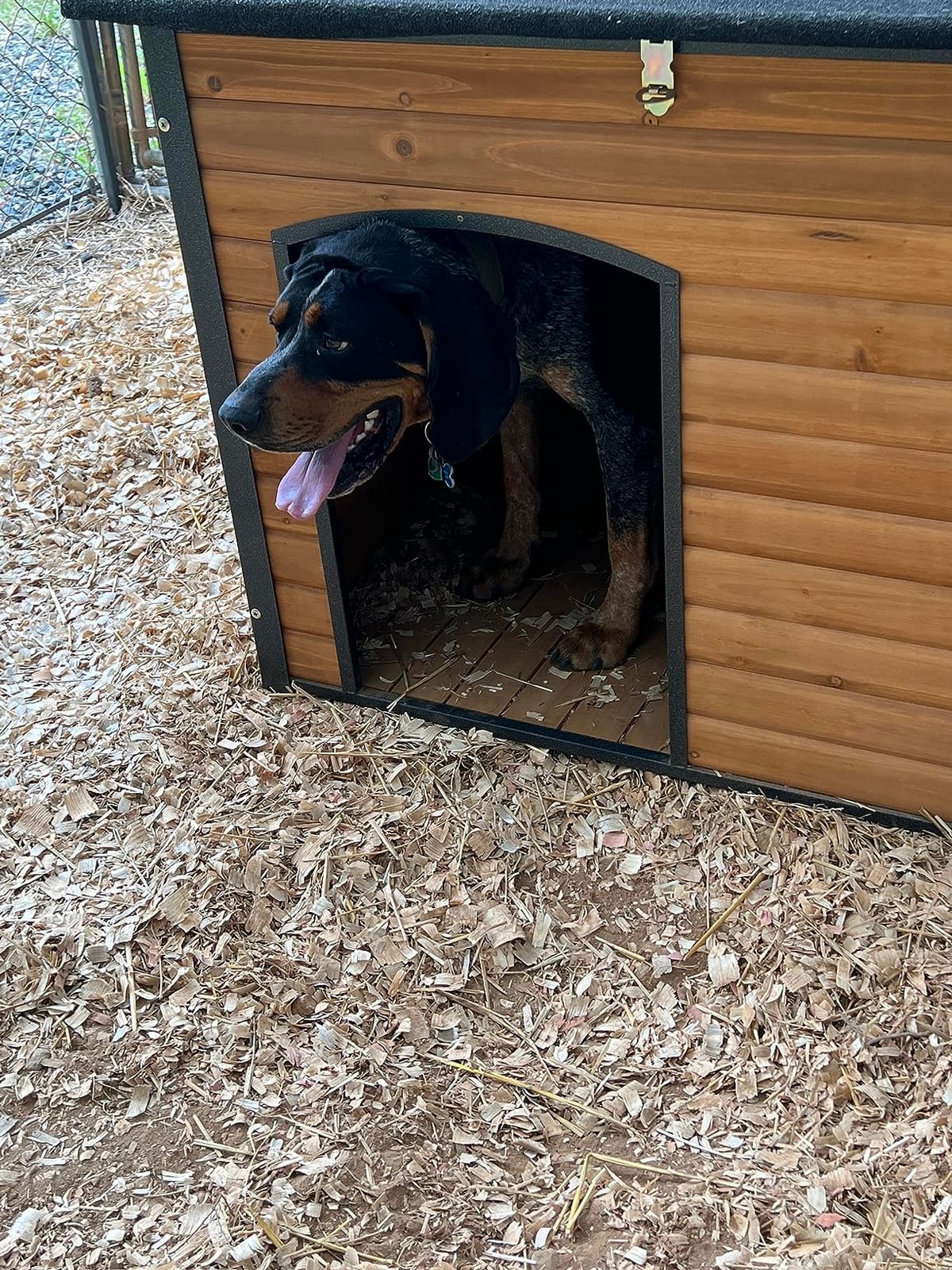 Aivituvin Insulated Dog House Outdoor & Indoor Wooden Dog Kennel for Winter with Raised Feet Weatherproof for Small & Medium & Large Dogs,Unique All-Around Iron Frame… customer photo 2