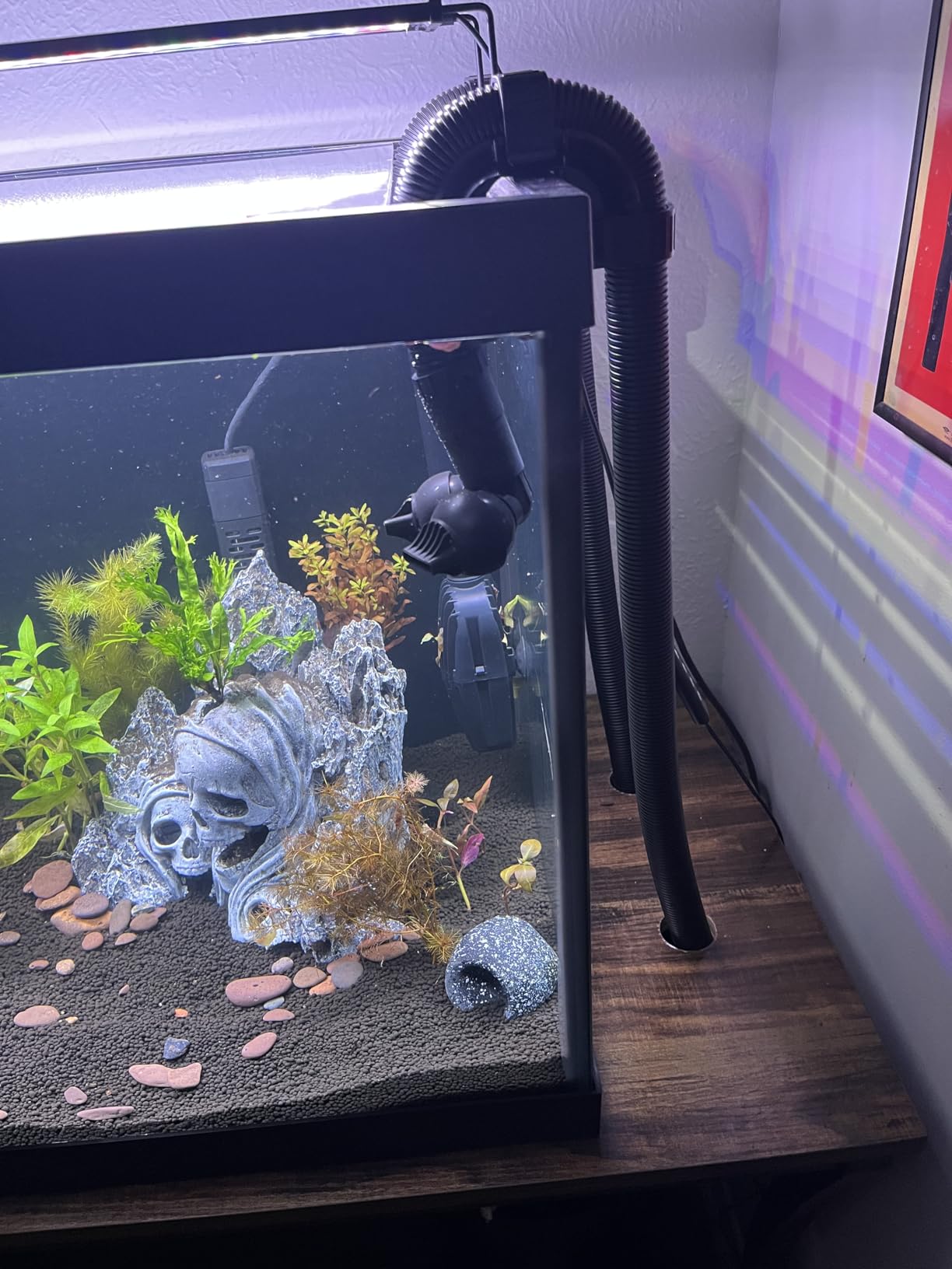 Fluval FX2 High Performance Canister Aquarium Filter | Multi-Stage Filtration, Built-in Powered Water Change System, and Basket-in-Basket Tray Design customer photo 1
