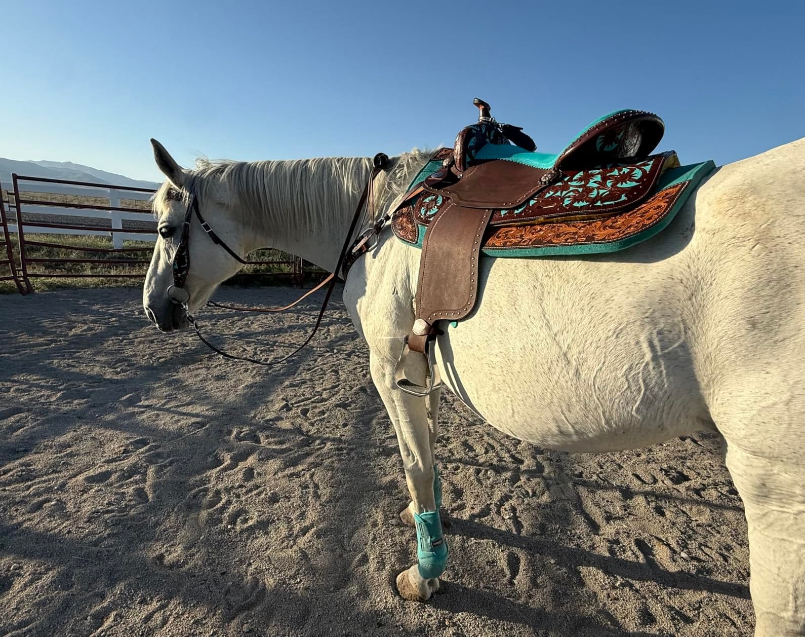 Leather Western Barrel Racing Horse Saddle Teal Brown Get Matching Tack Set Headstall Breast Collar and Reins Size 12