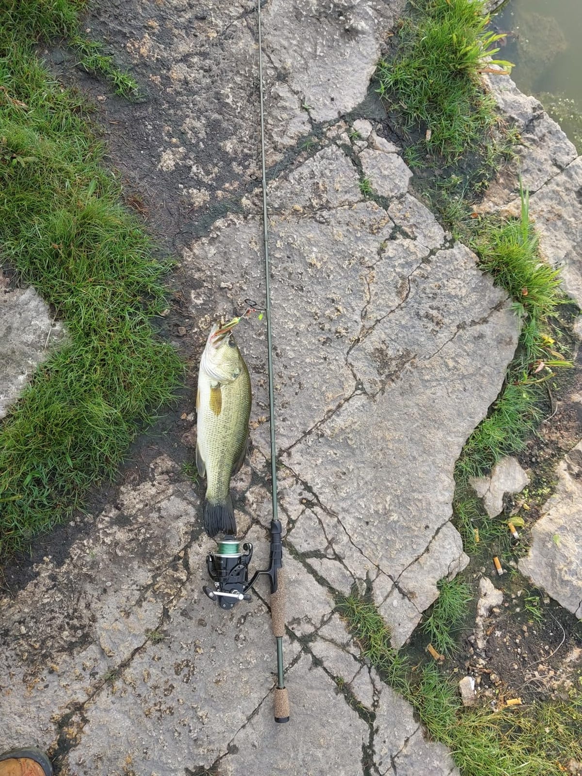 KastKing Spartacus II Twin-Tip Spinning & Casting Fishing Rods customer photo 2